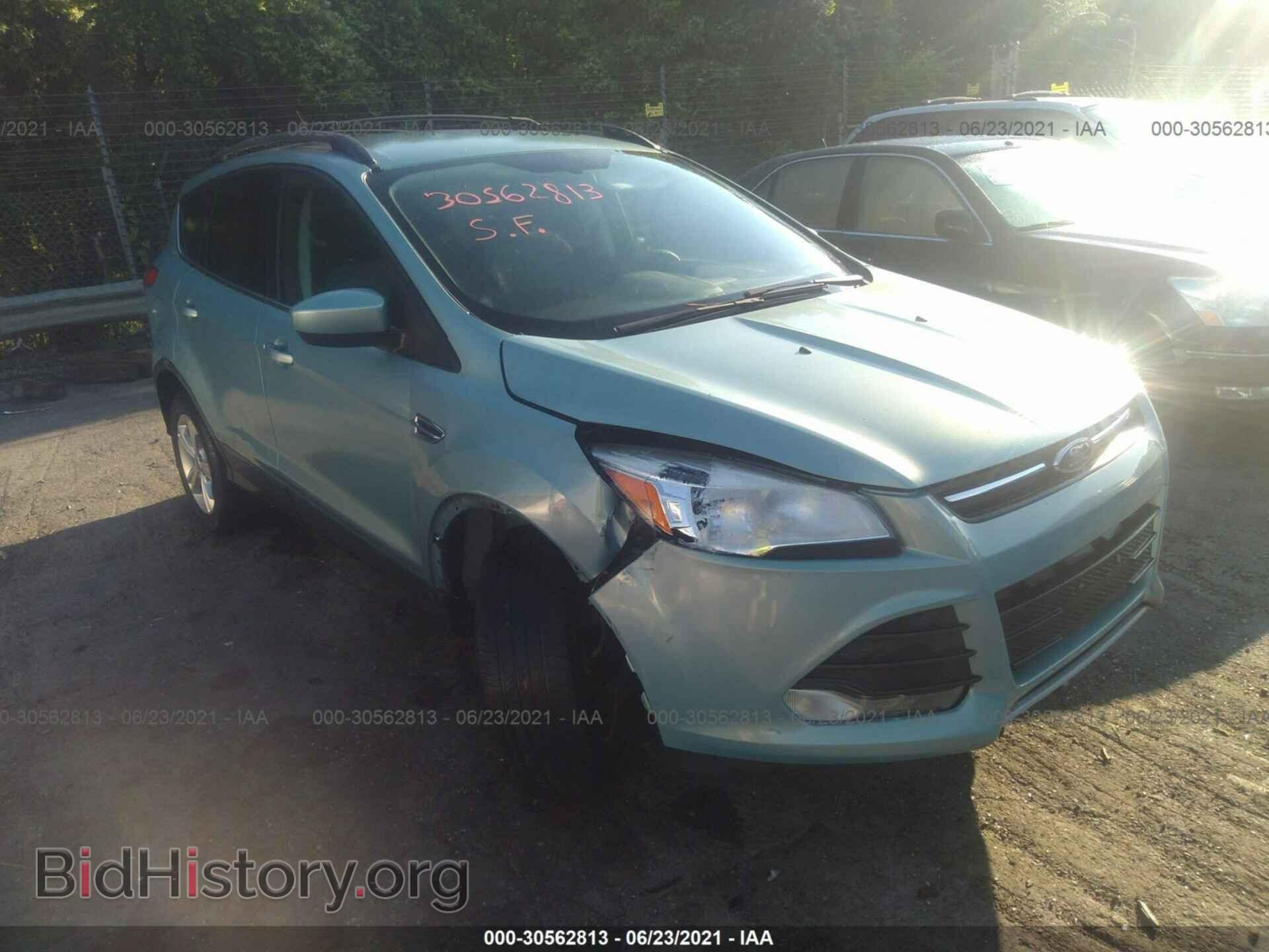 Photo 1FMCU0GX8DUC20629 - FORD ESCAPE 2013