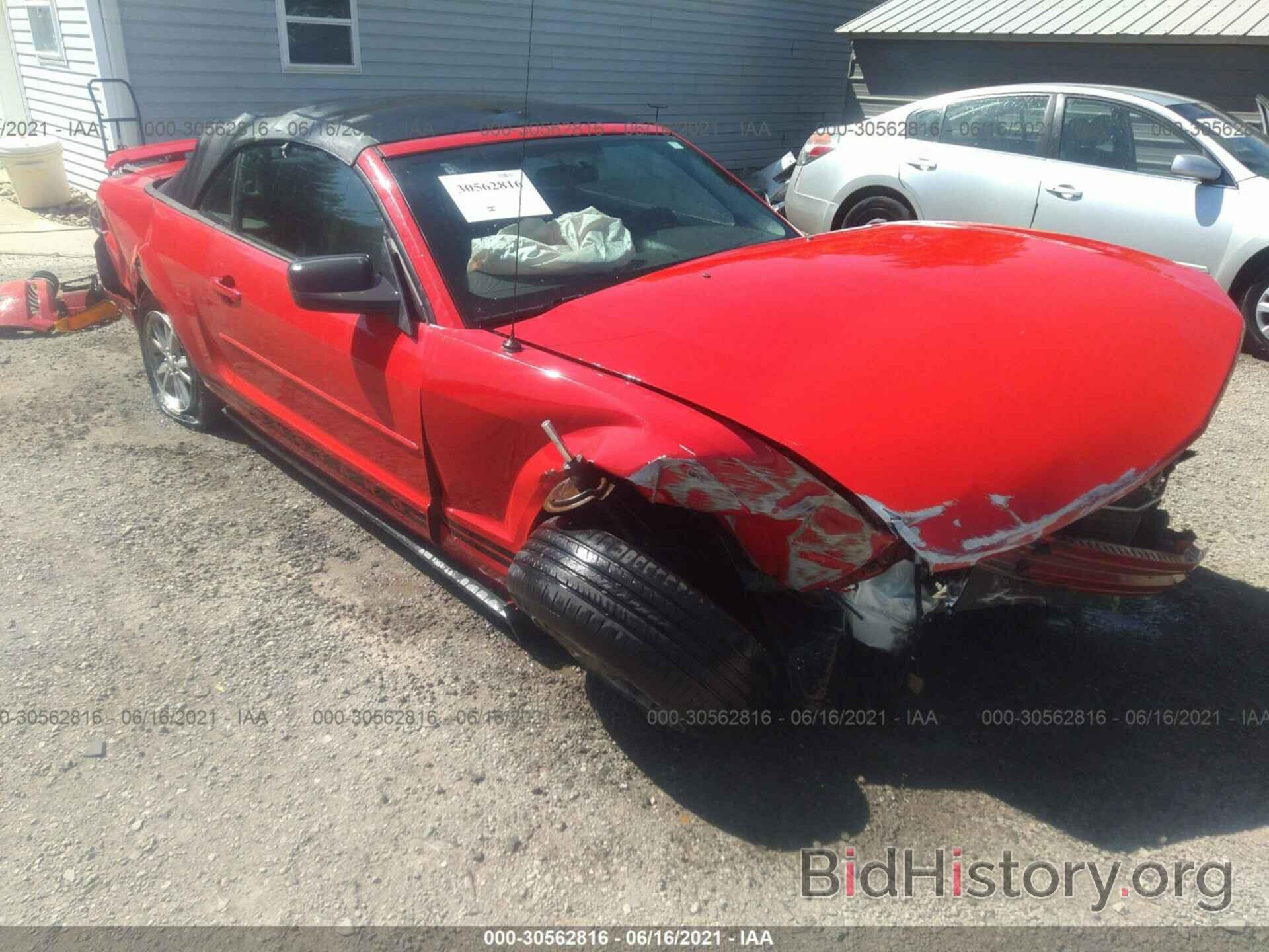 Photo 1ZVFT84N965184725 - FORD MUSTANG 2006