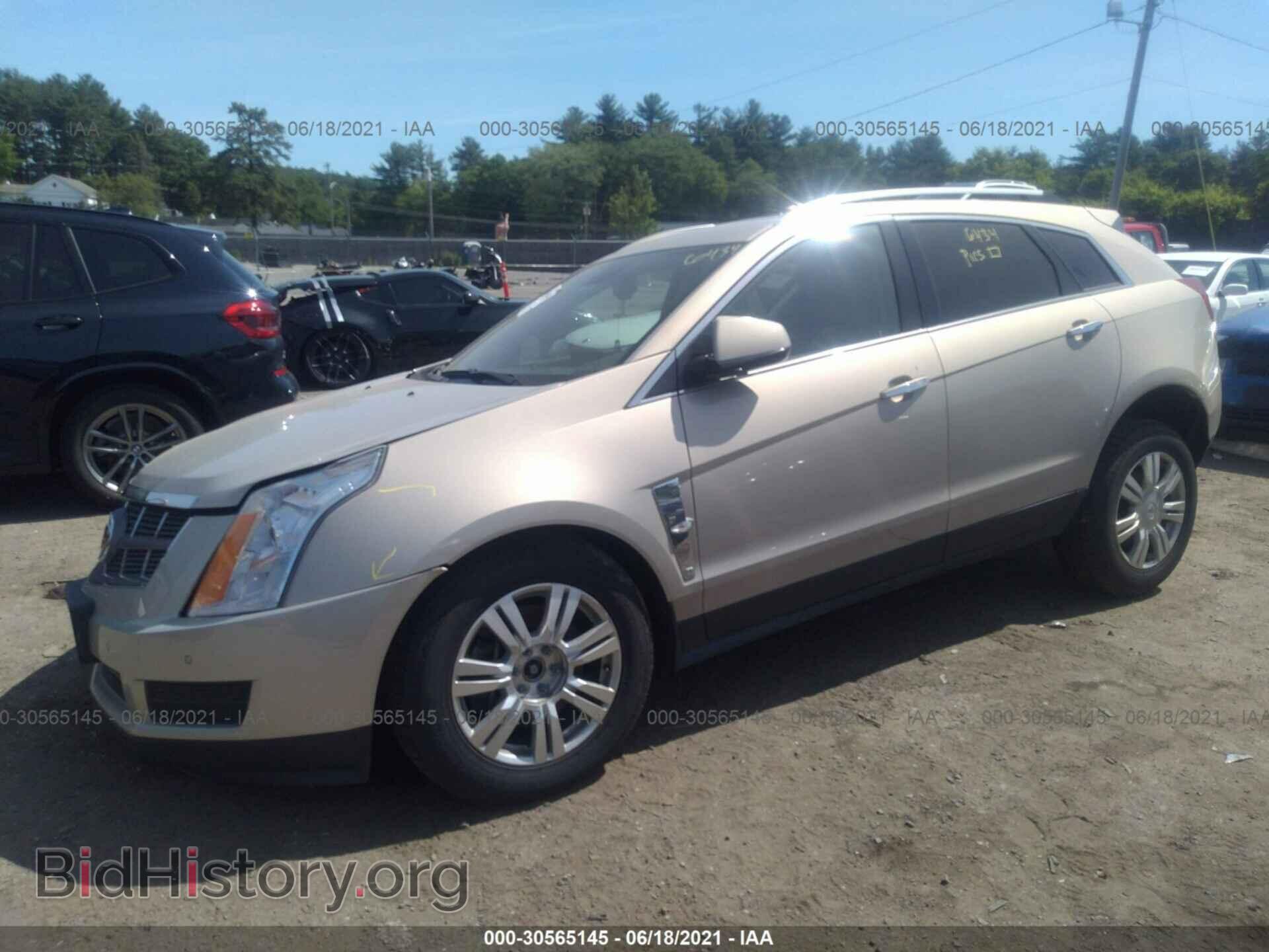 2012 CADILLAC SRX - VIN: 3GYFNDE30CS513875 - Фото 2