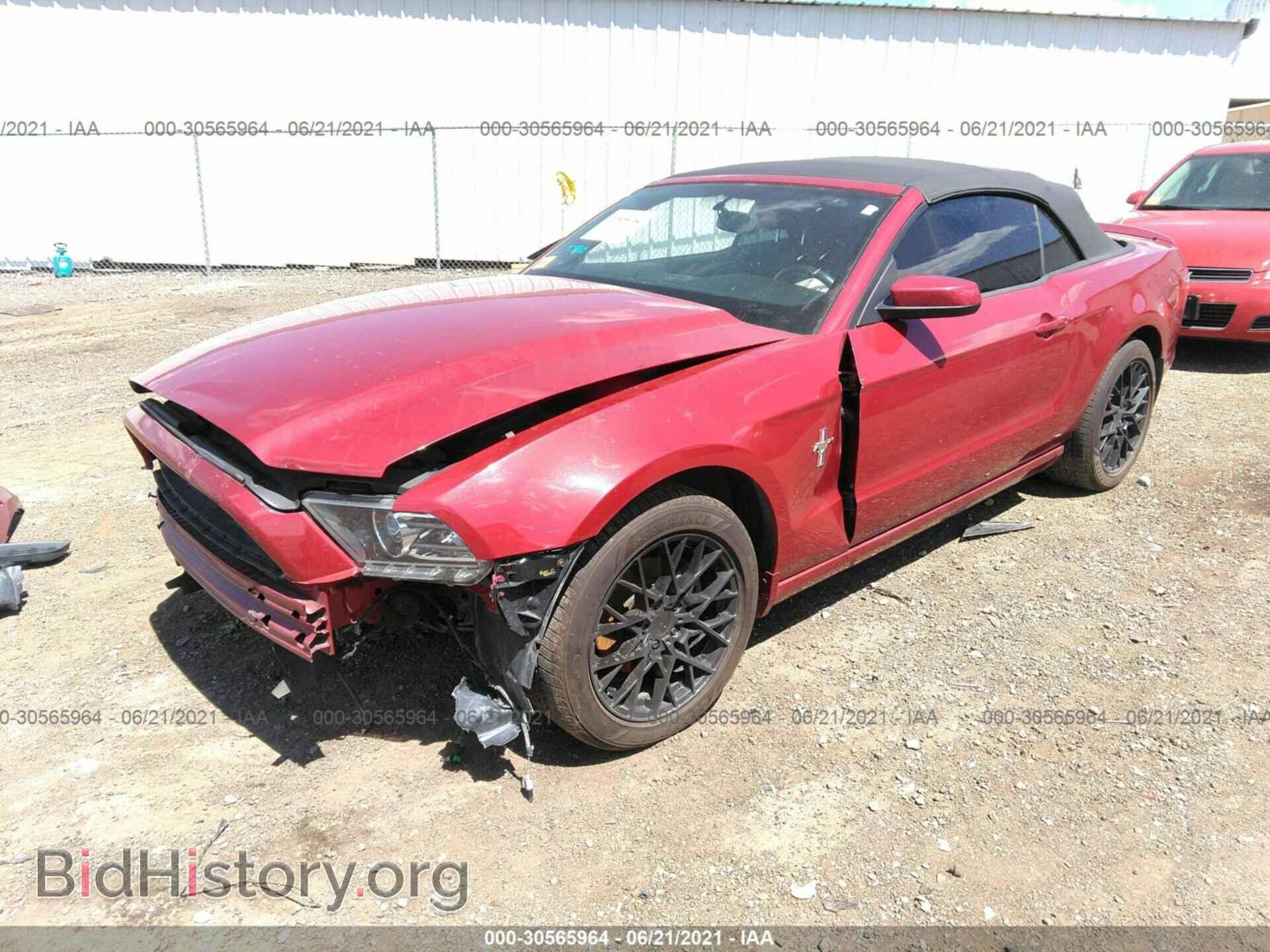 2013 FORD MUSTANG - VIN: 1ZVBP8EM7D5228923 - Фото 2