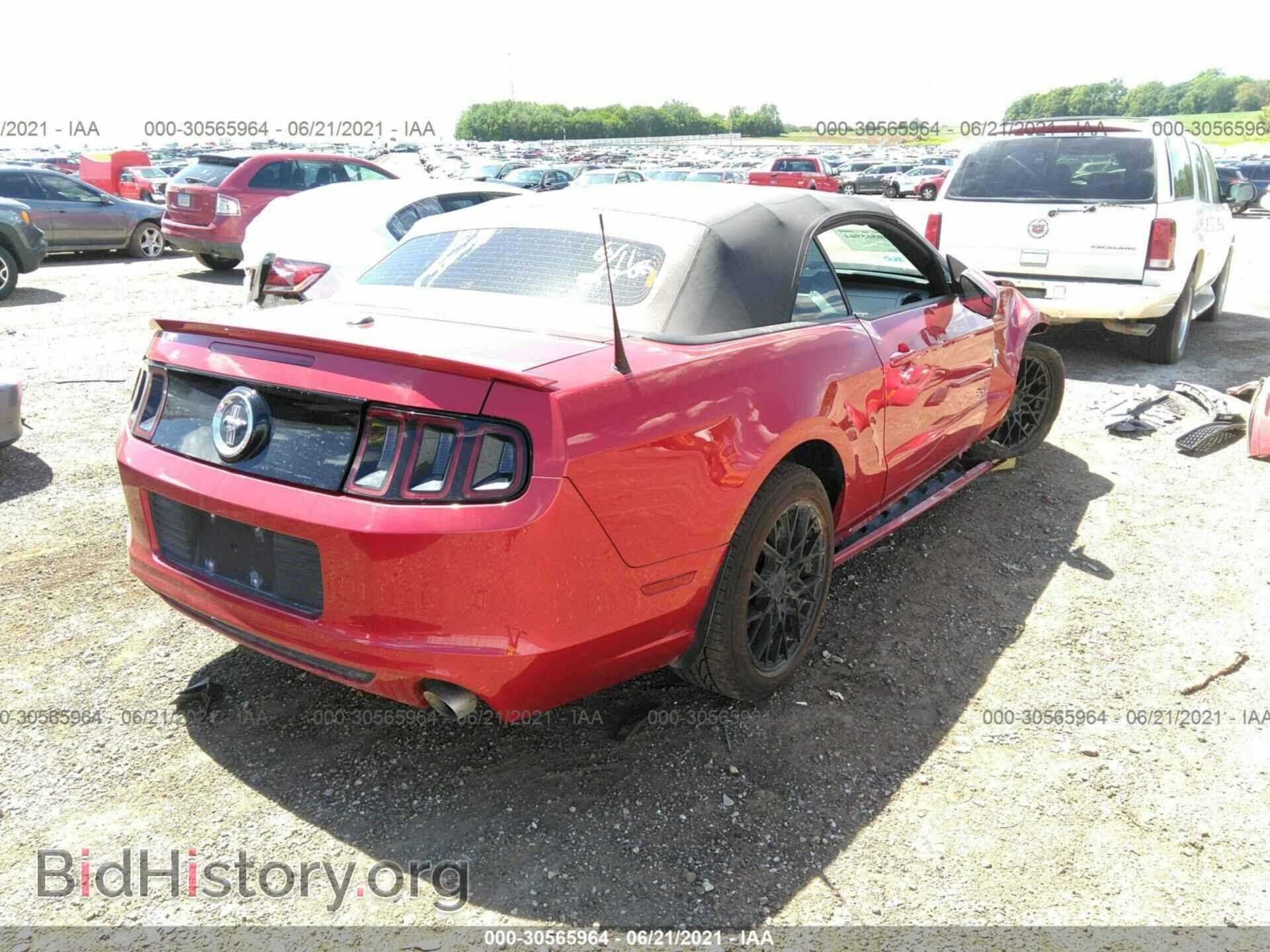 2013 FORD MUSTANG - VIN: 1ZVBP8EM7D5228923 - Фото 4