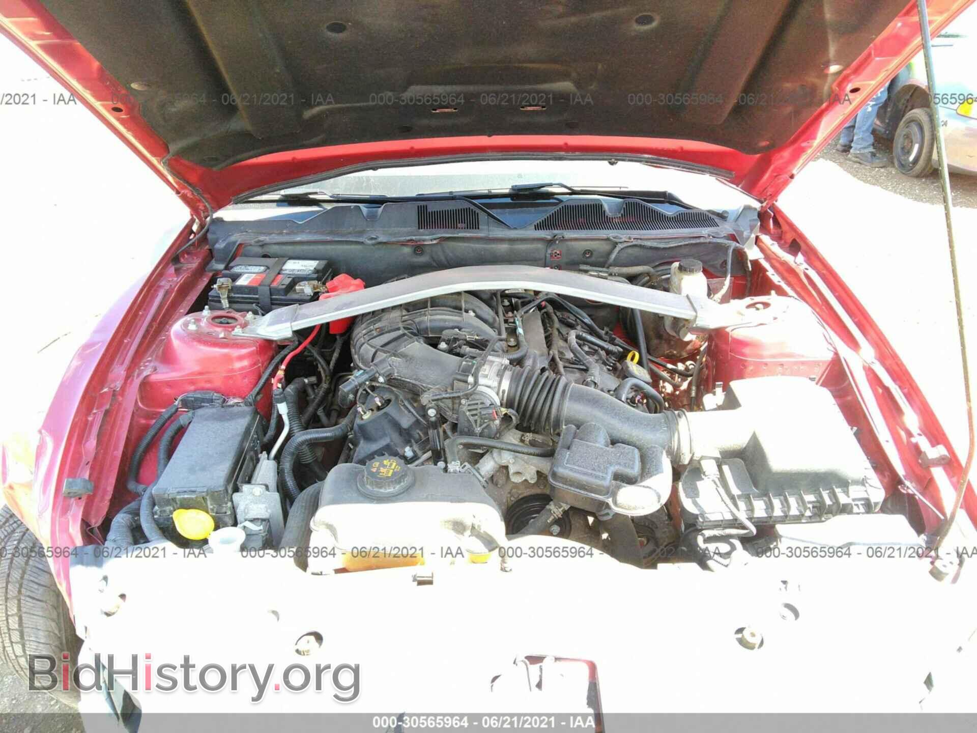 2013 FORD MUSTANG - VIN: 1ZVBP8EM7D5228923 - Фото 10