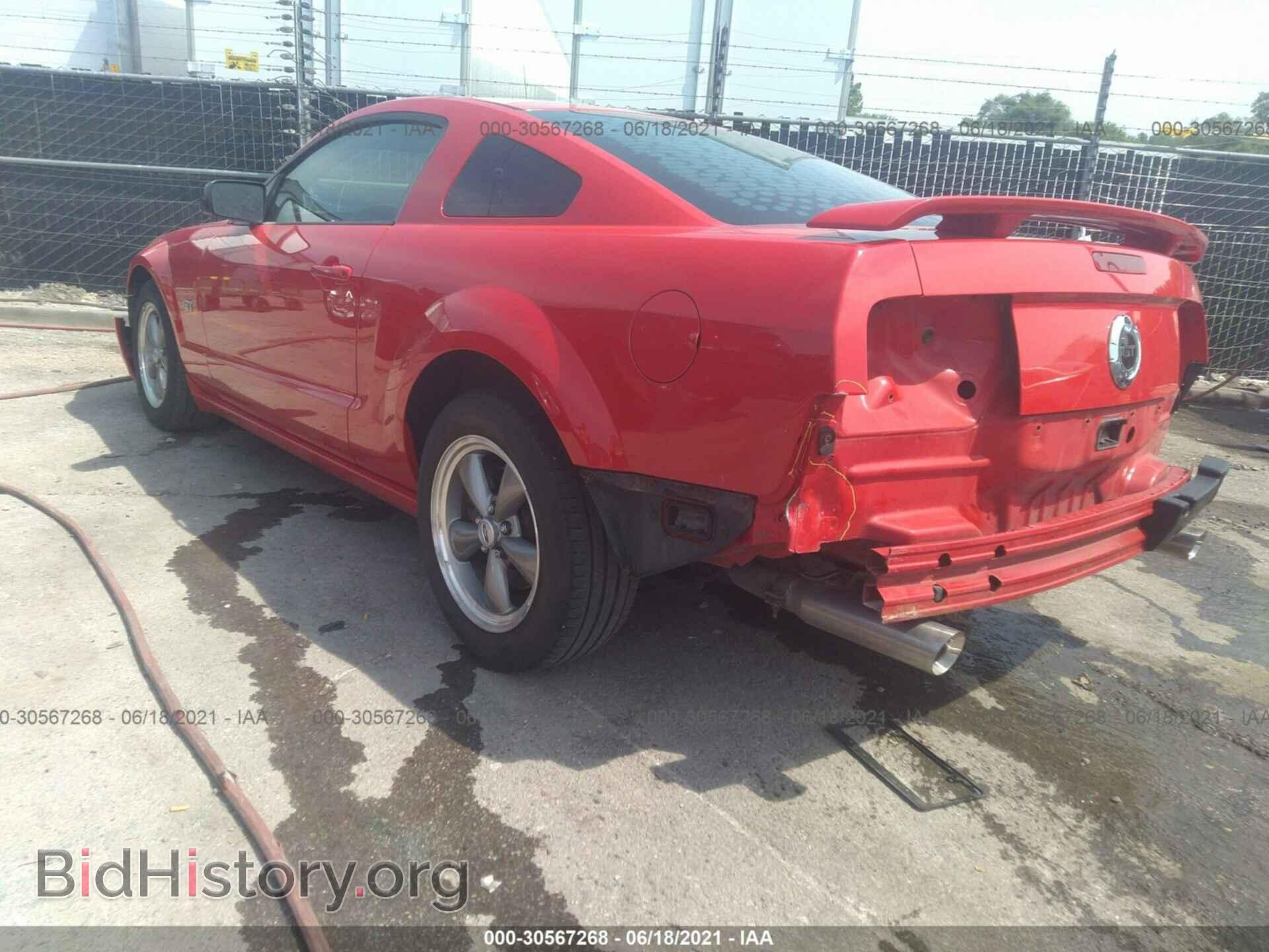 2006 FORD MUSTANG - VIN: 1ZVFT82H965108189 - Фото 3