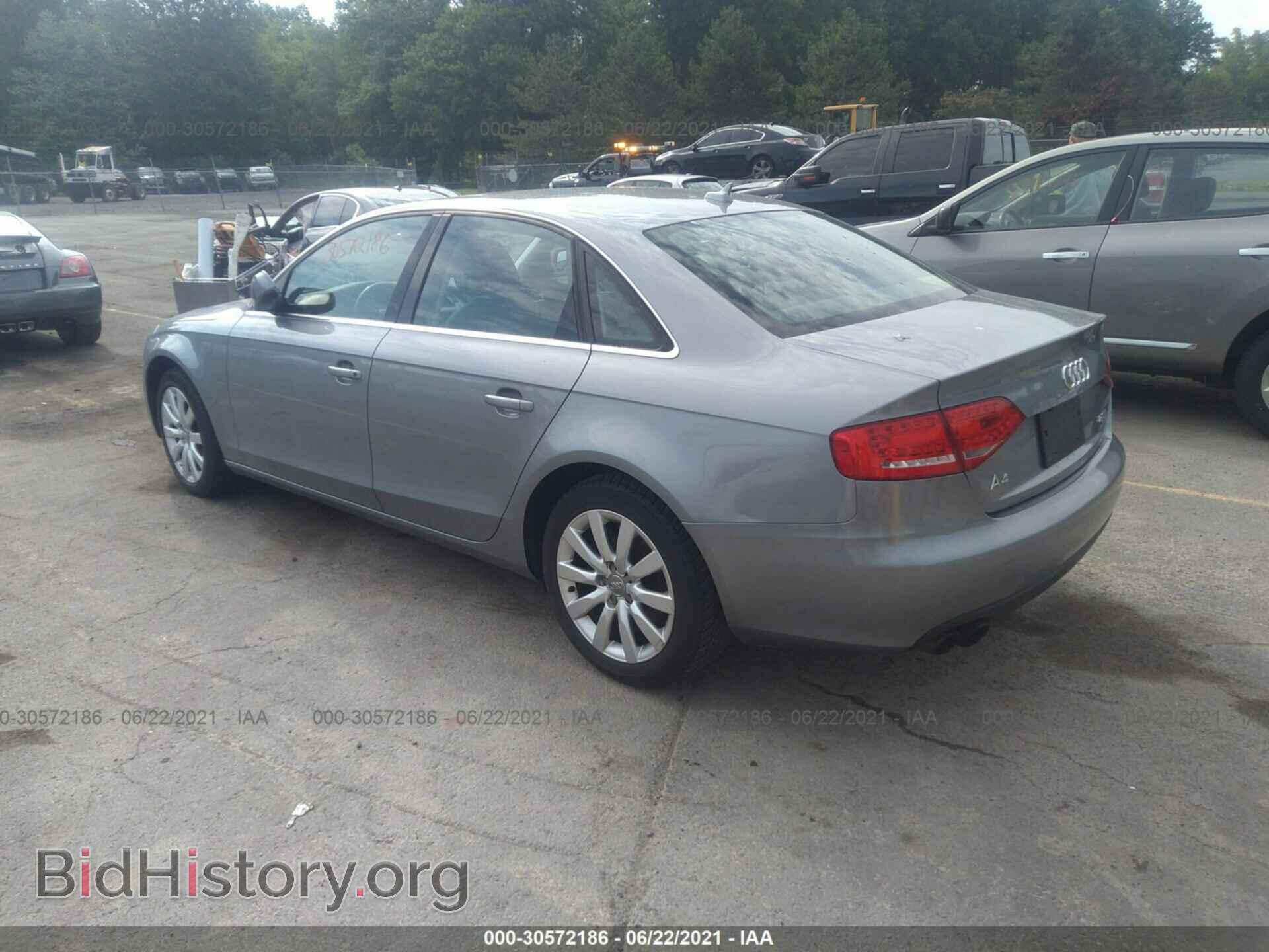 2010 AUDI A4 - VIN: WAUFFAFL2AN034488 - Фото 3