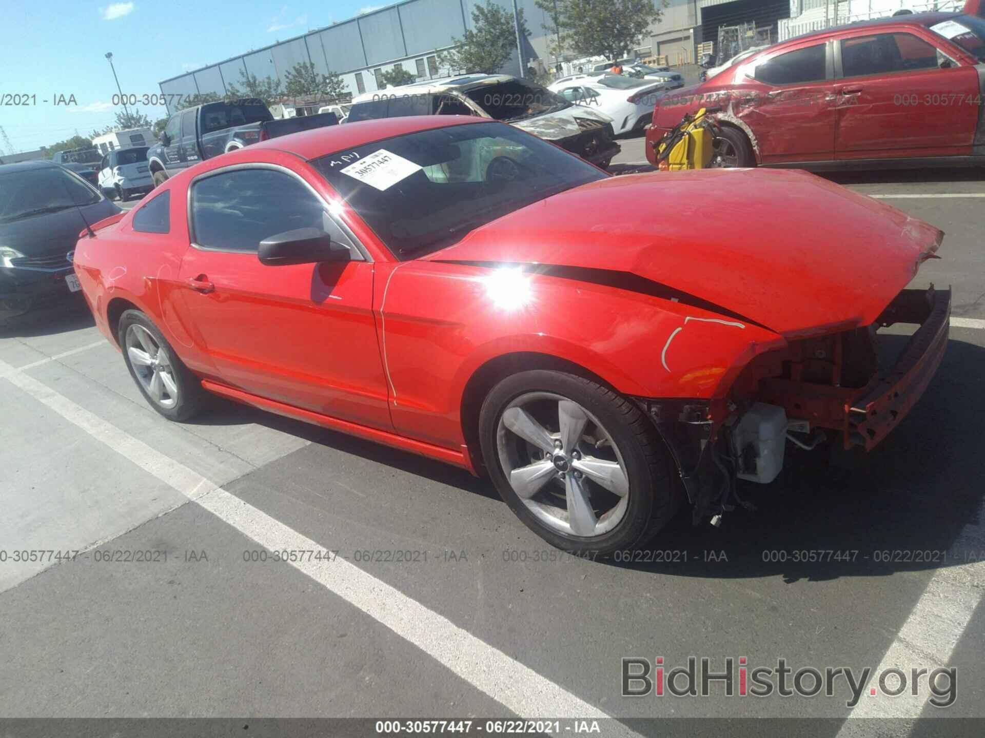 Photo 1ZVBP8AM6E5213501 - FORD MUSTANG 2014