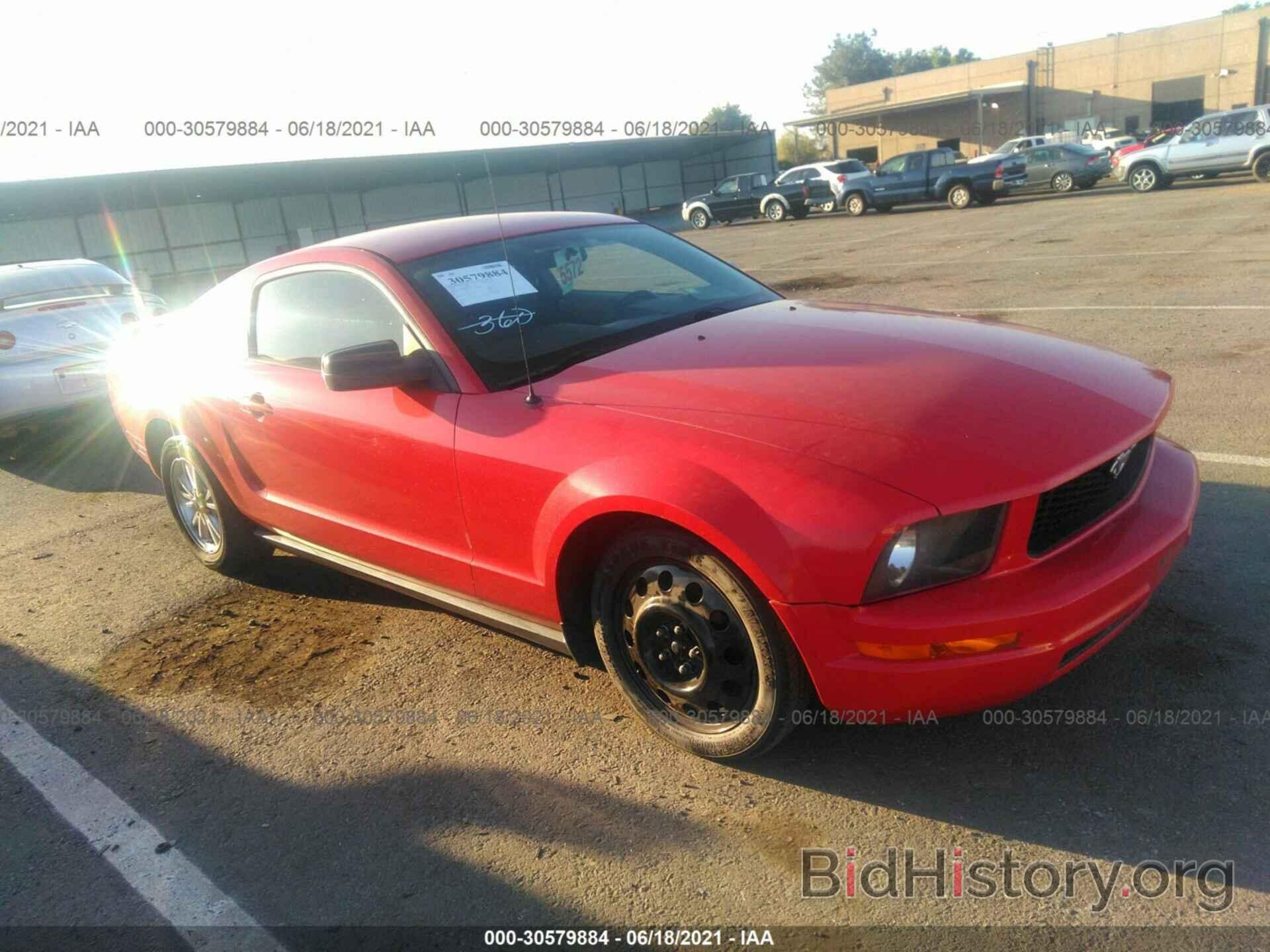 Photo 1ZVHT80N885175385 - FORD MUSTANG 2008