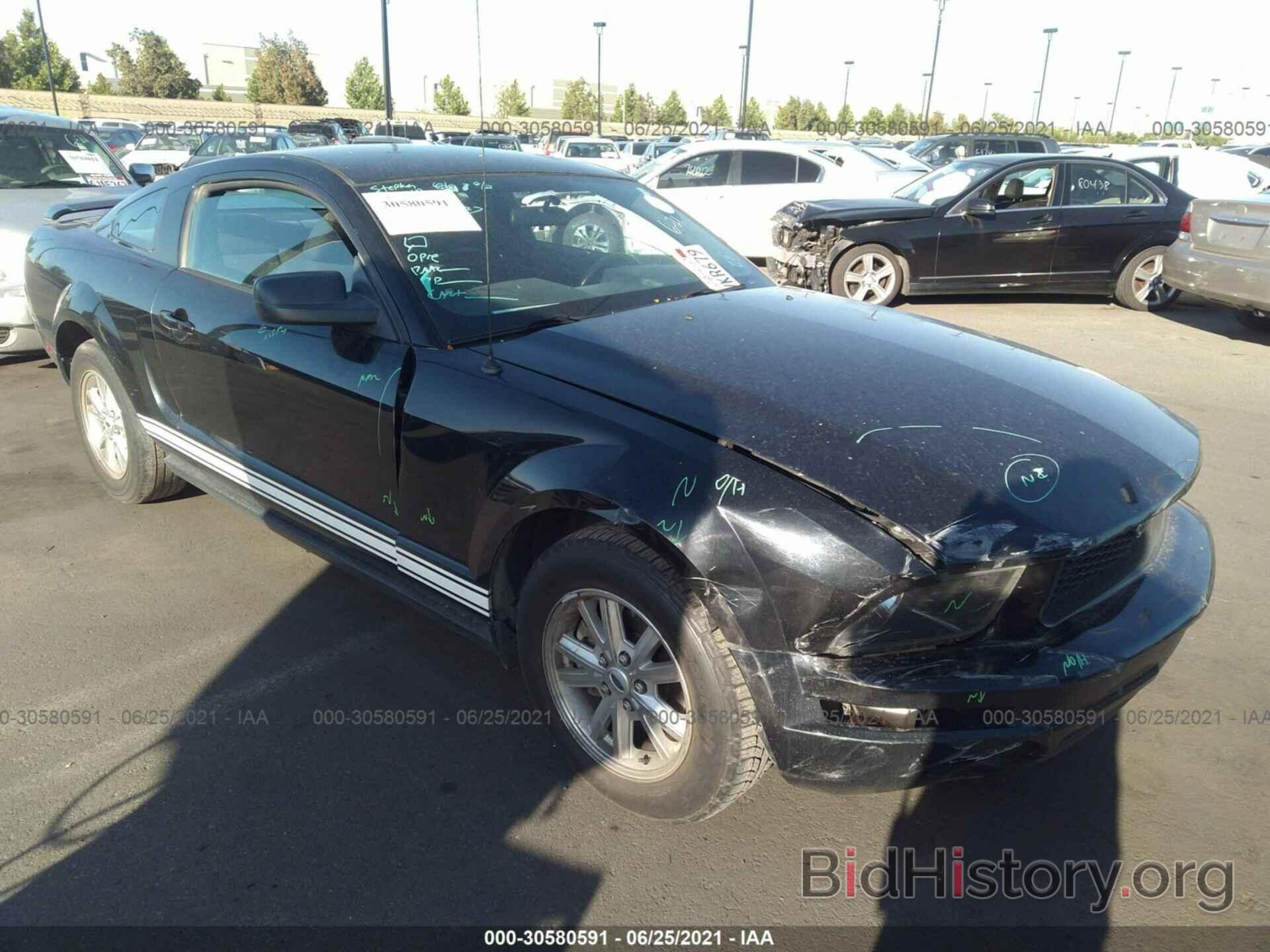 Photo 1ZVFT80N165262842 - FORD MUSTANG 2006