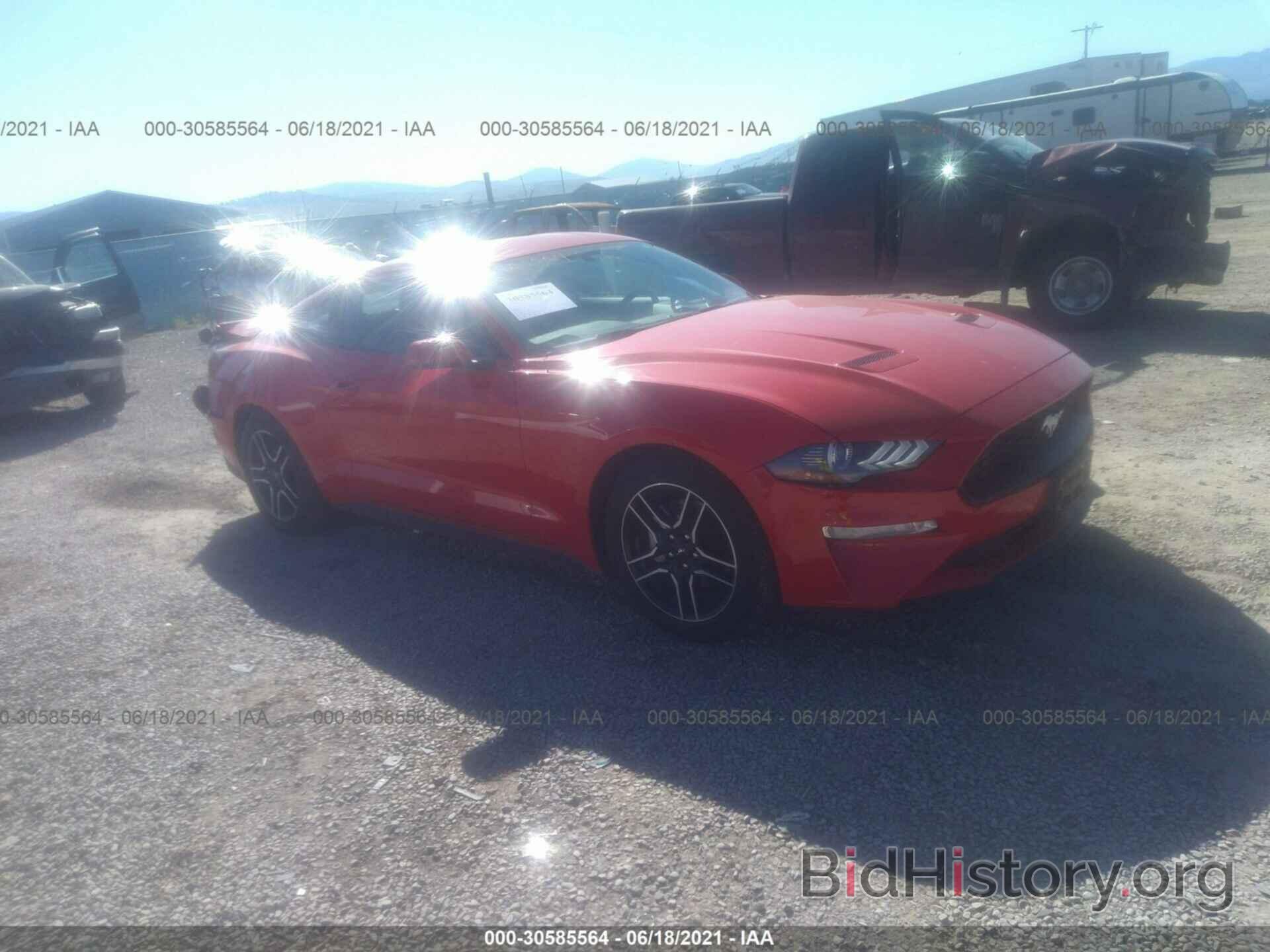 Photo 1FA6P8TH8L5147606 - FORD MUSTANG 2020