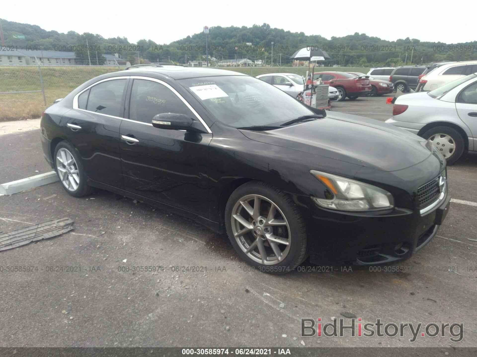 Photo 1N4AA5AP4BC857214 - NISSAN MAXIMA 2011