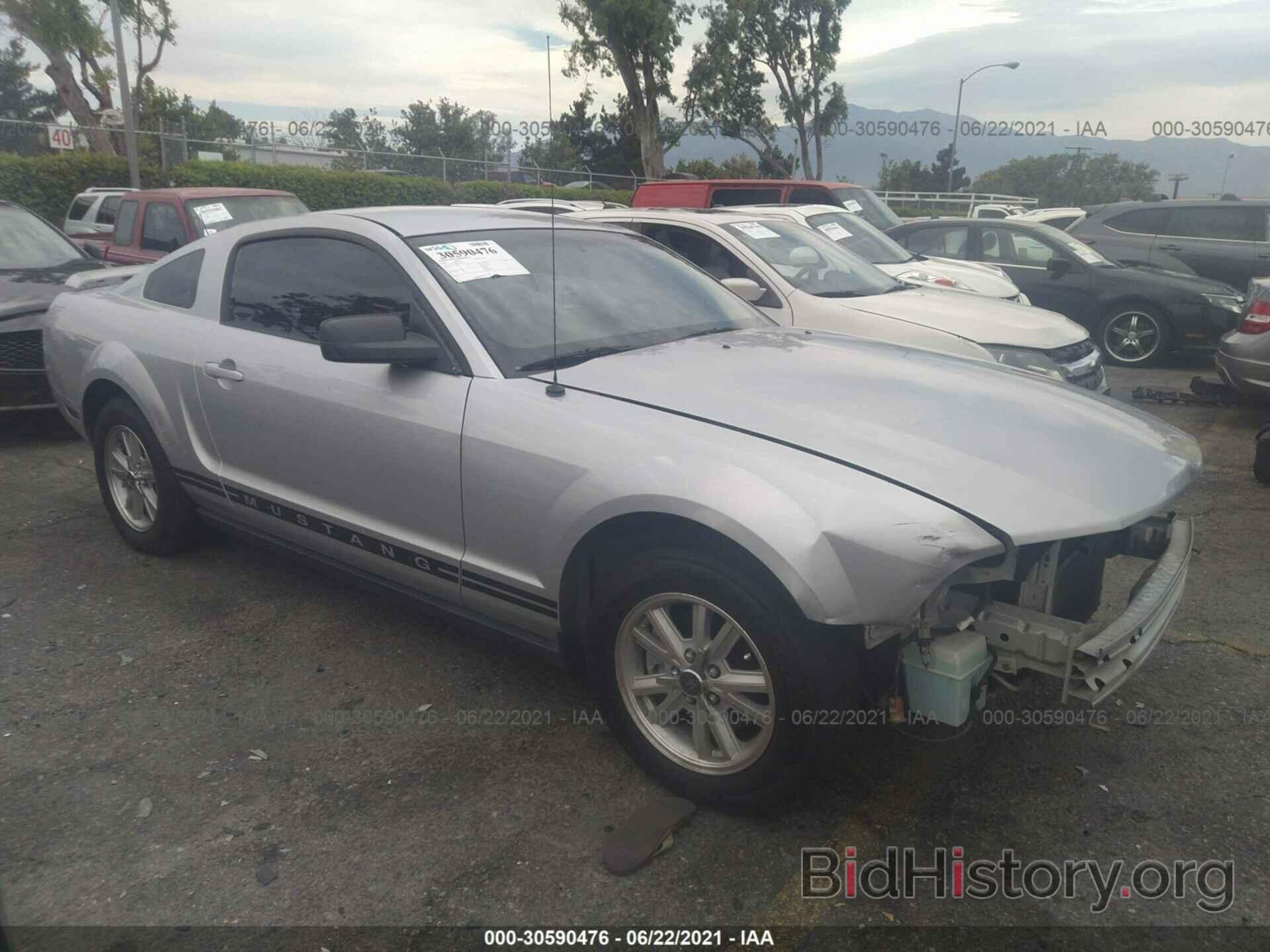 Photo 1ZVFT80NX65210948 - FORD MUSTANG 2006