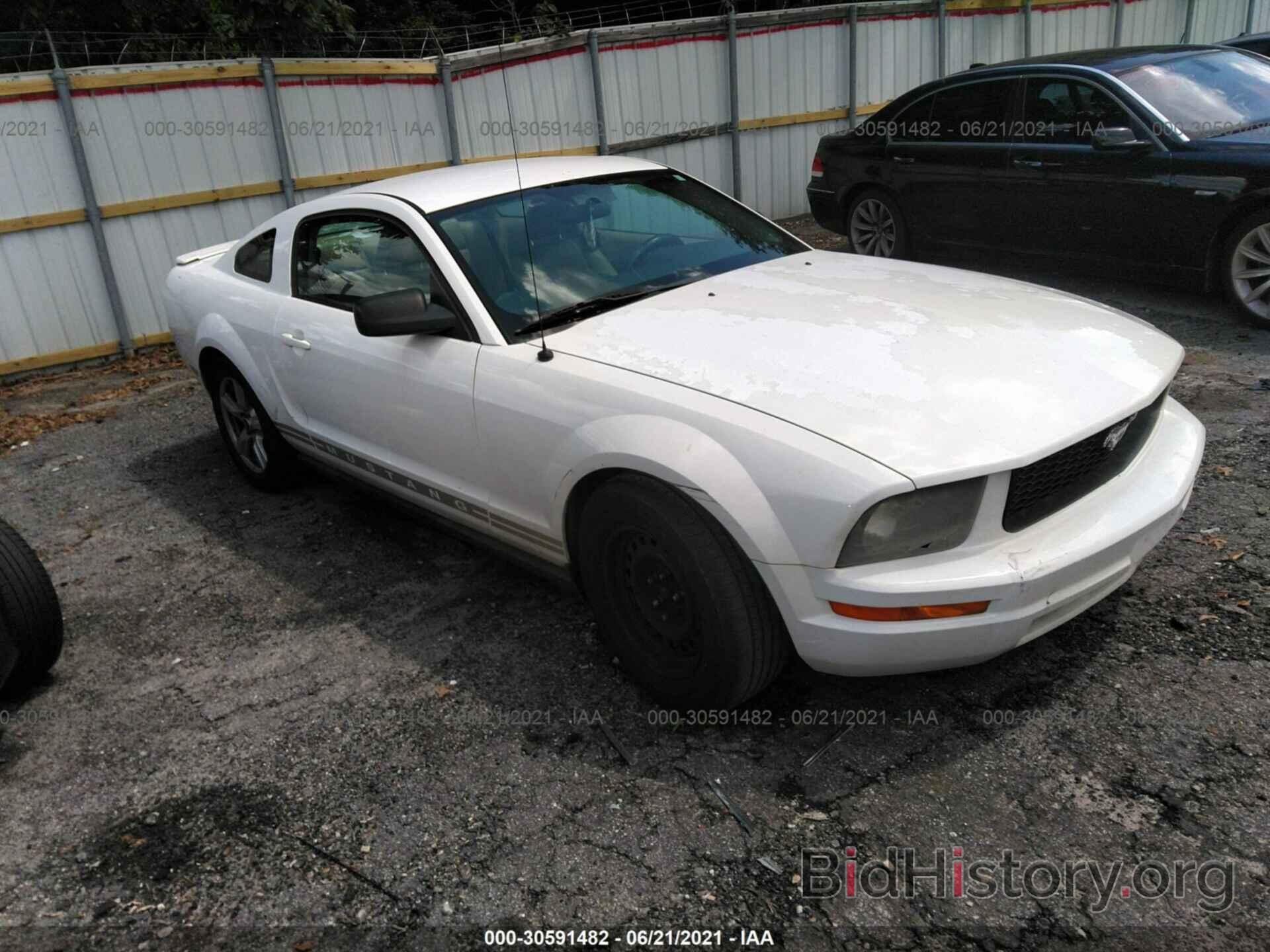 Photo 1ZVHT80N075342465 - FORD MUSTANG 2007