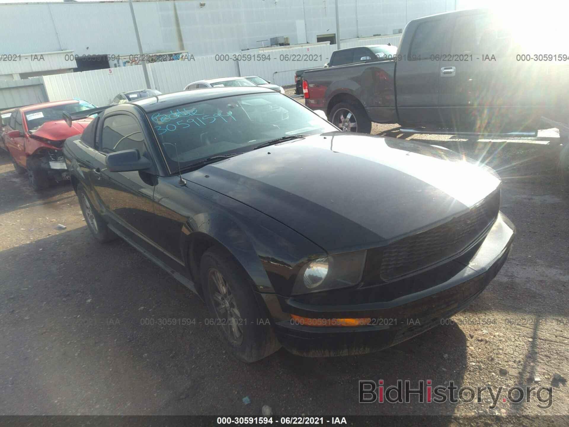 Photo 1ZVHT80N385207823 - FORD MUSTANG 2008