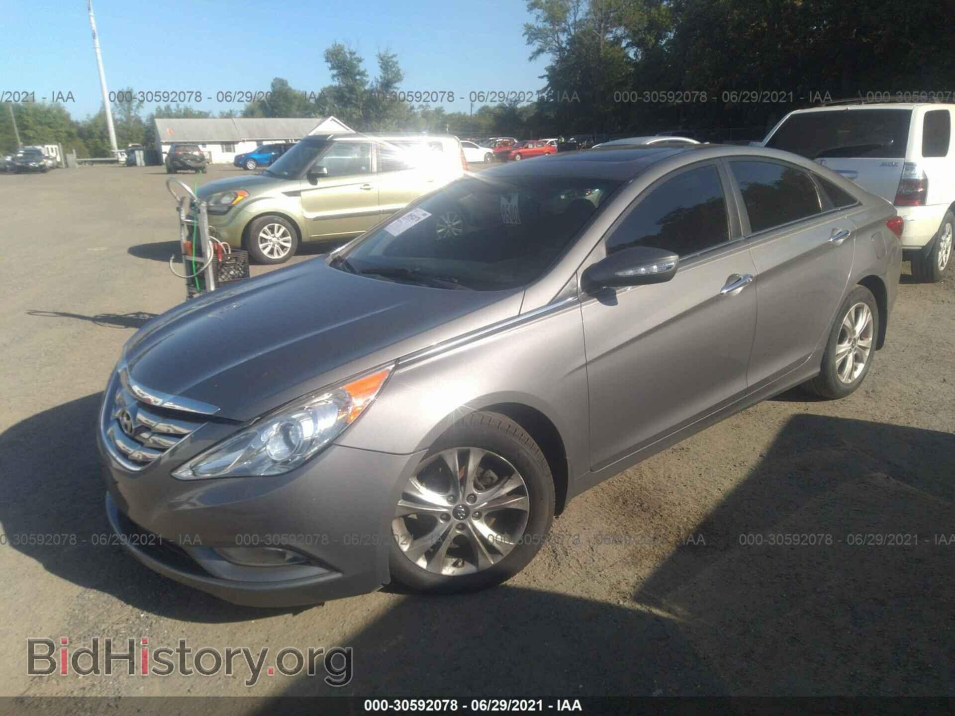 2013 HYUNDAI SONATA - VIN: 5NPEC4AC3DH564442 - Фото 2