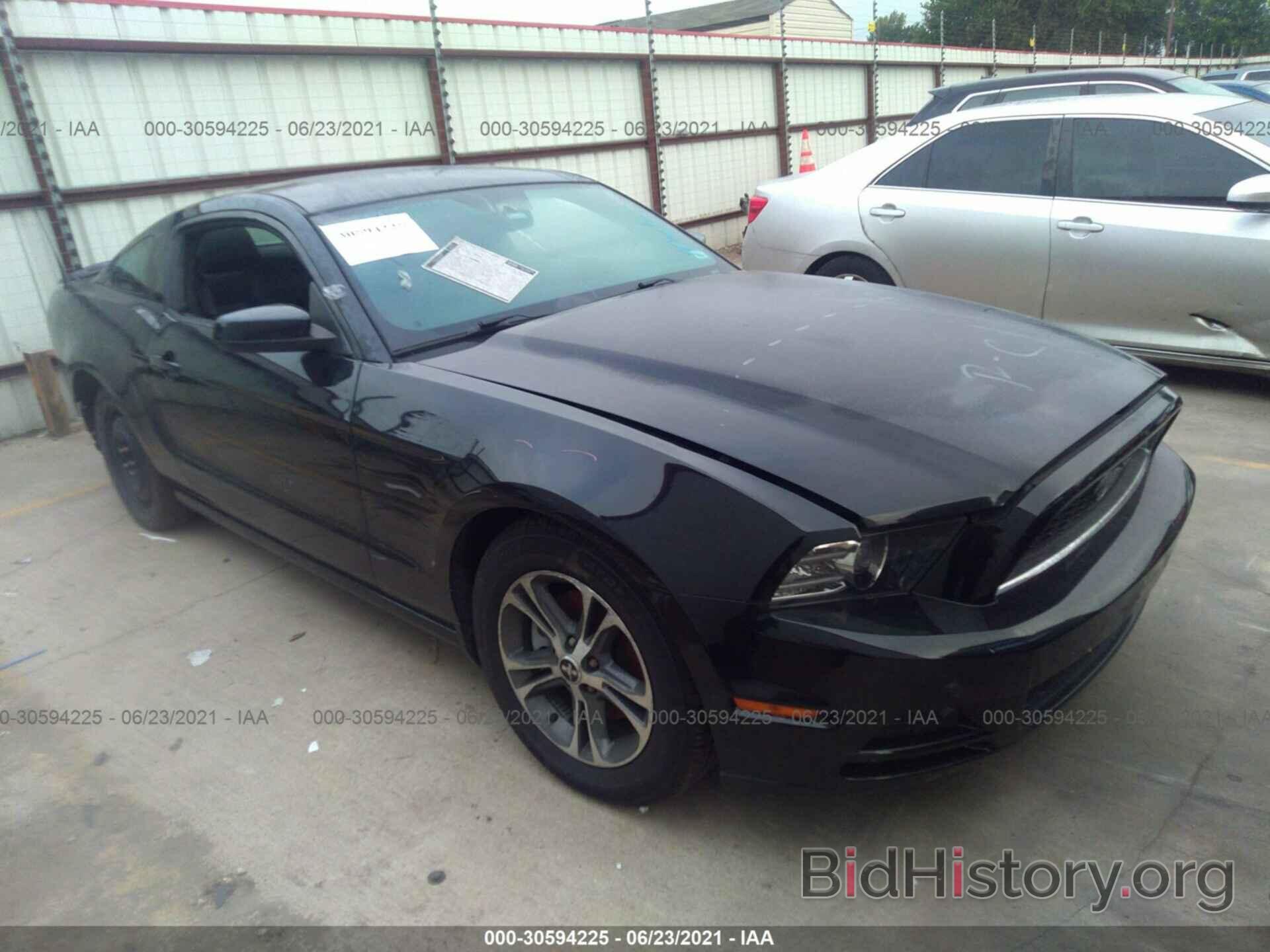 Photo 1ZVBP8AM0E5291532 - FORD MUSTANG 2014