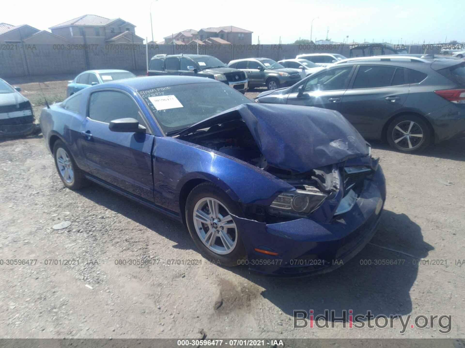 Photo 1ZVBP8AM3E5328010 - FORD MUSTANG 2014
