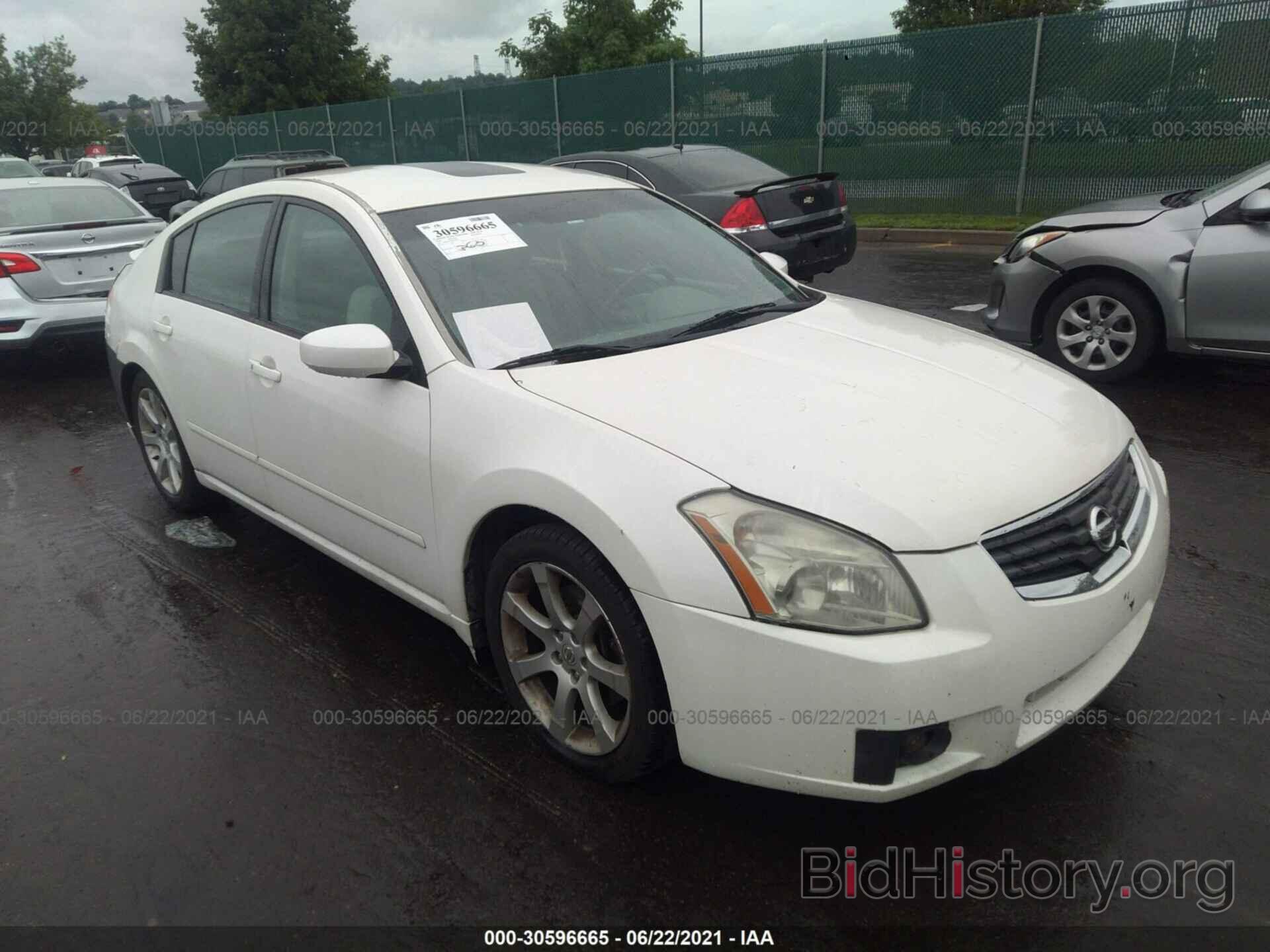 Photo 1N4BA41E78C838615 - NISSAN MAXIMA 2008