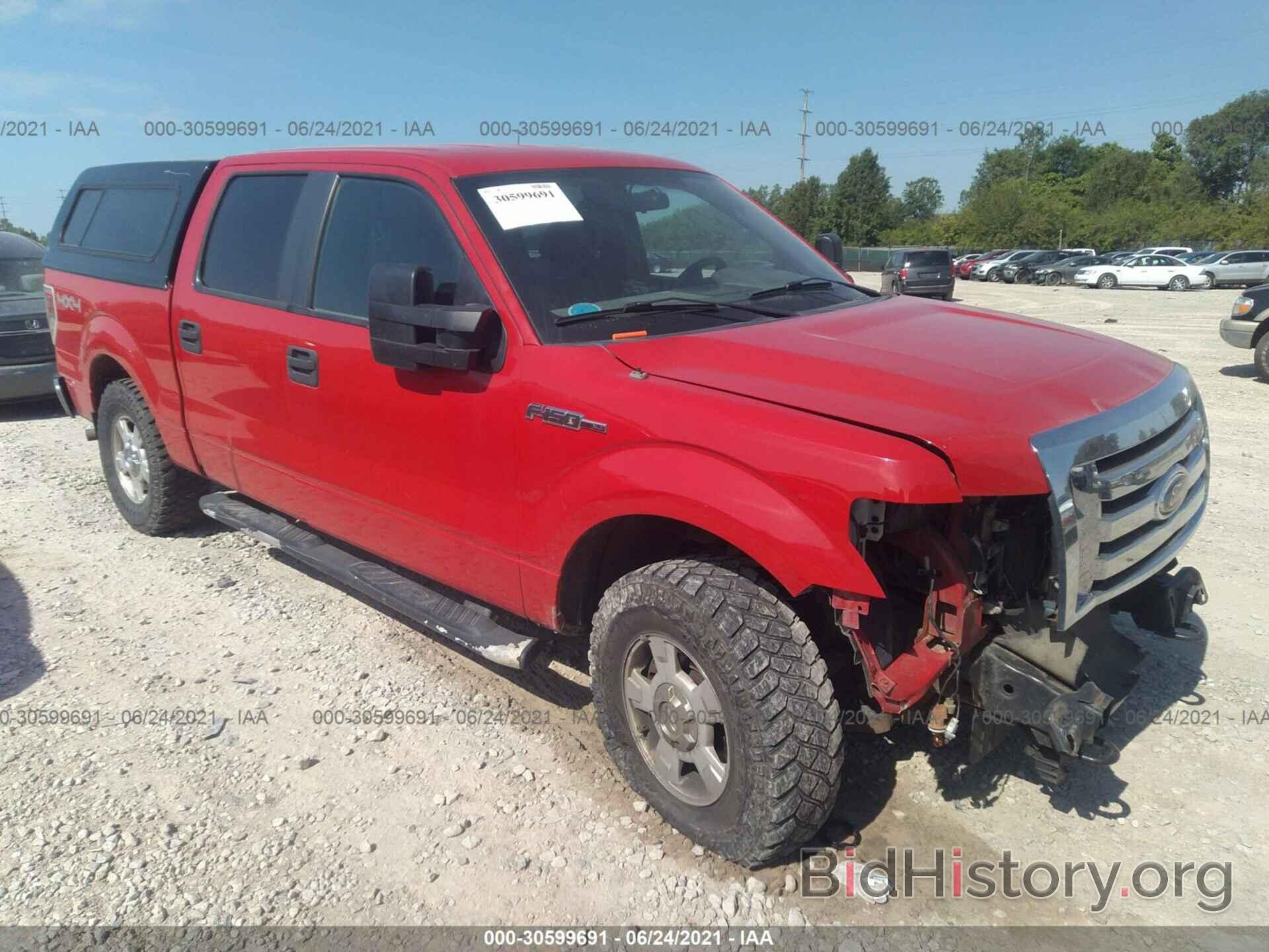 Photo 1FTEW1E81AFB33616 - FORD F-150 2010