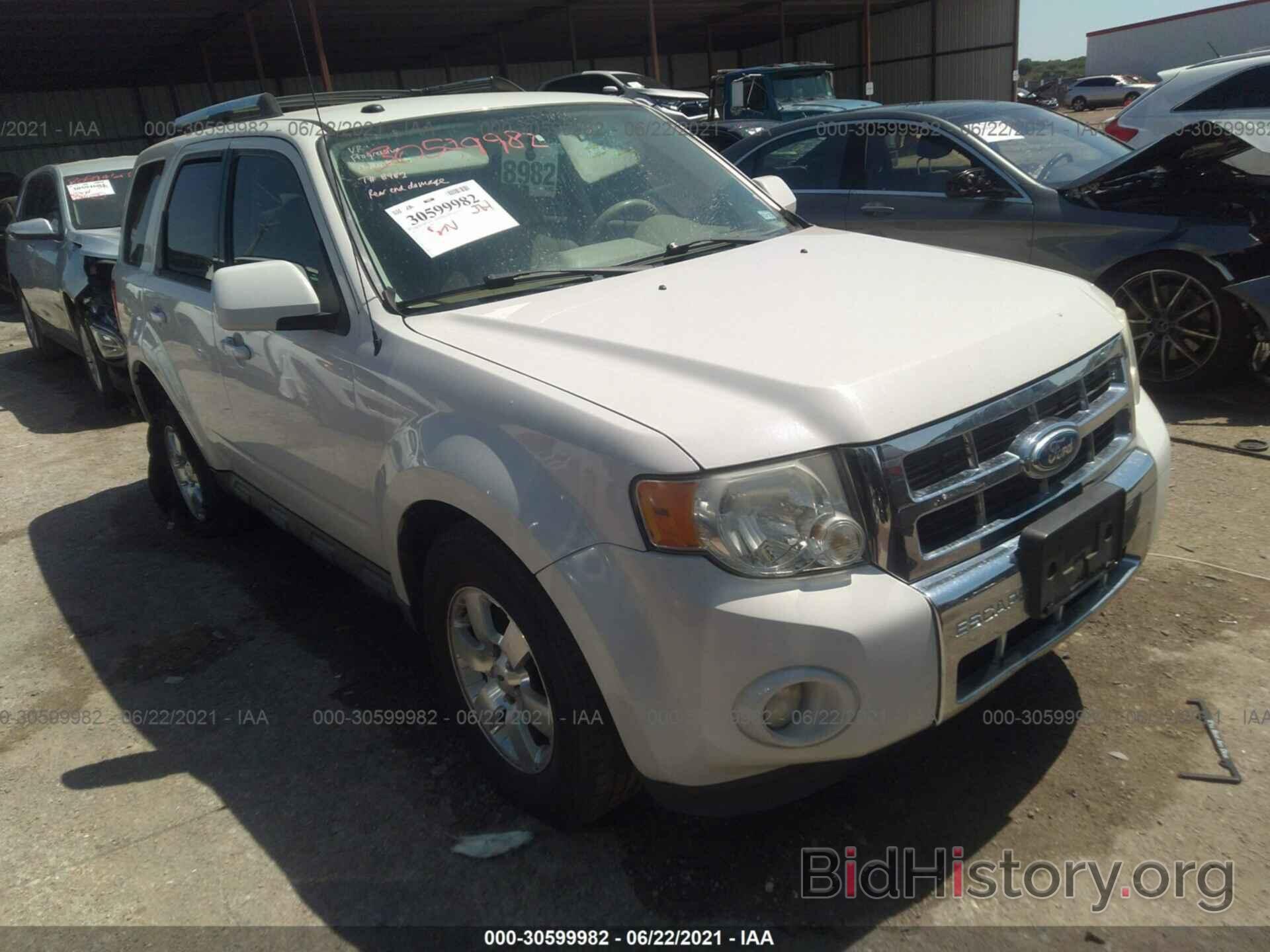 Photo 1FMCU0EG7BKC42228 - FORD ESCAPE 2011