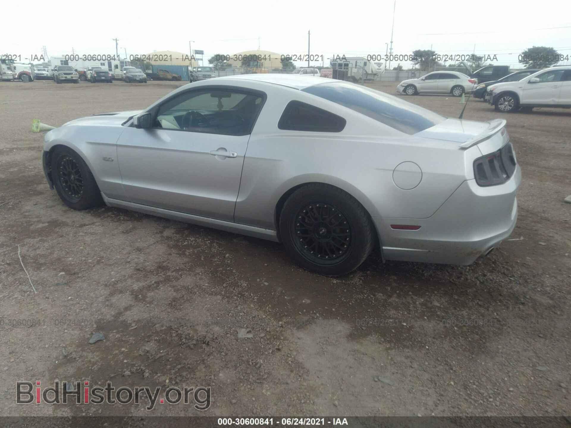 2014 FORD MUSTANG - VIN: 1ZVBP8CF0E5259114 - Фото 3