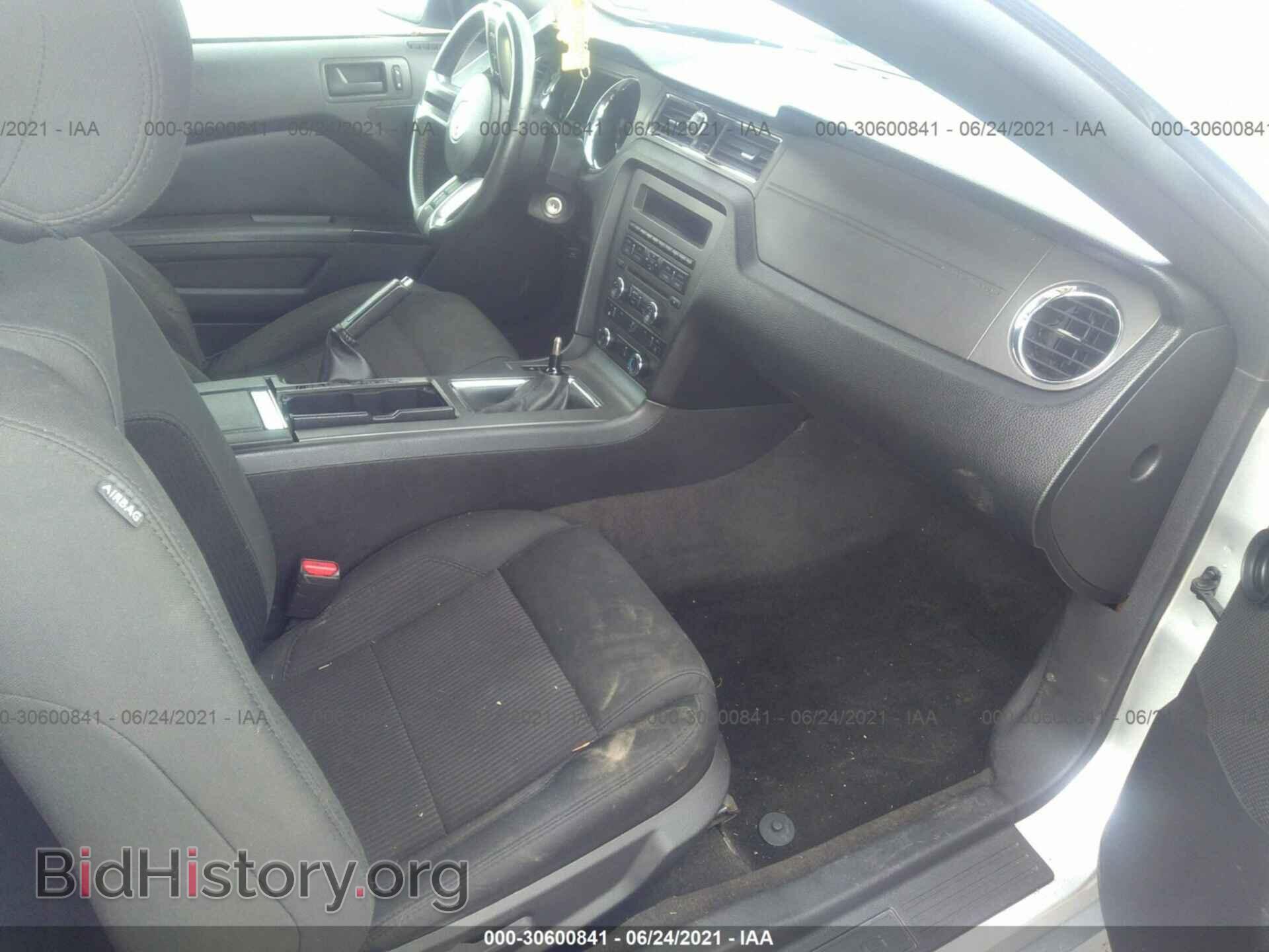 2014 FORD MUSTANG - VIN: 1ZVBP8CF0E5259114 - Фото 5