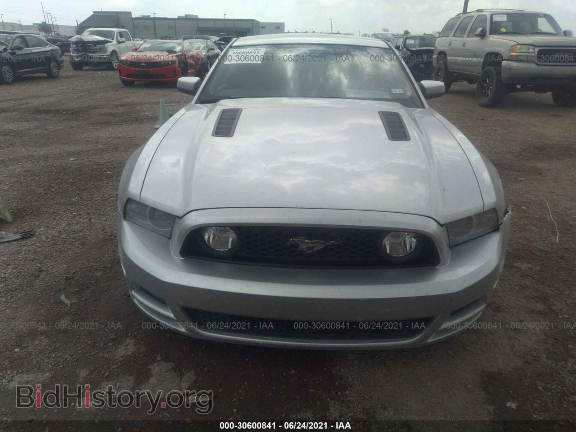 2014 FORD MUSTANG - VIN: 1ZVBP8CF0E5259114 - Фото 6