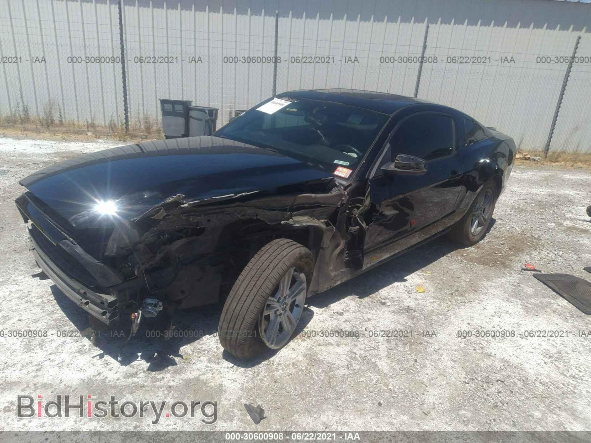 2014 FORD MUSTANG - VIN: 1ZVBP8AM4E5271574 - Фото 2