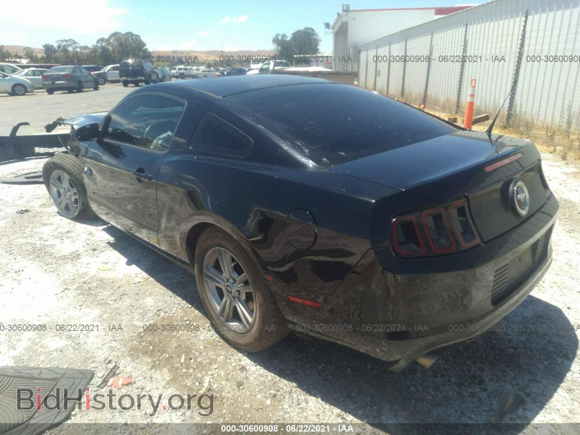 2014 FORD MUSTANG - VIN: 1ZVBP8AM4E5271574 - Фото 3