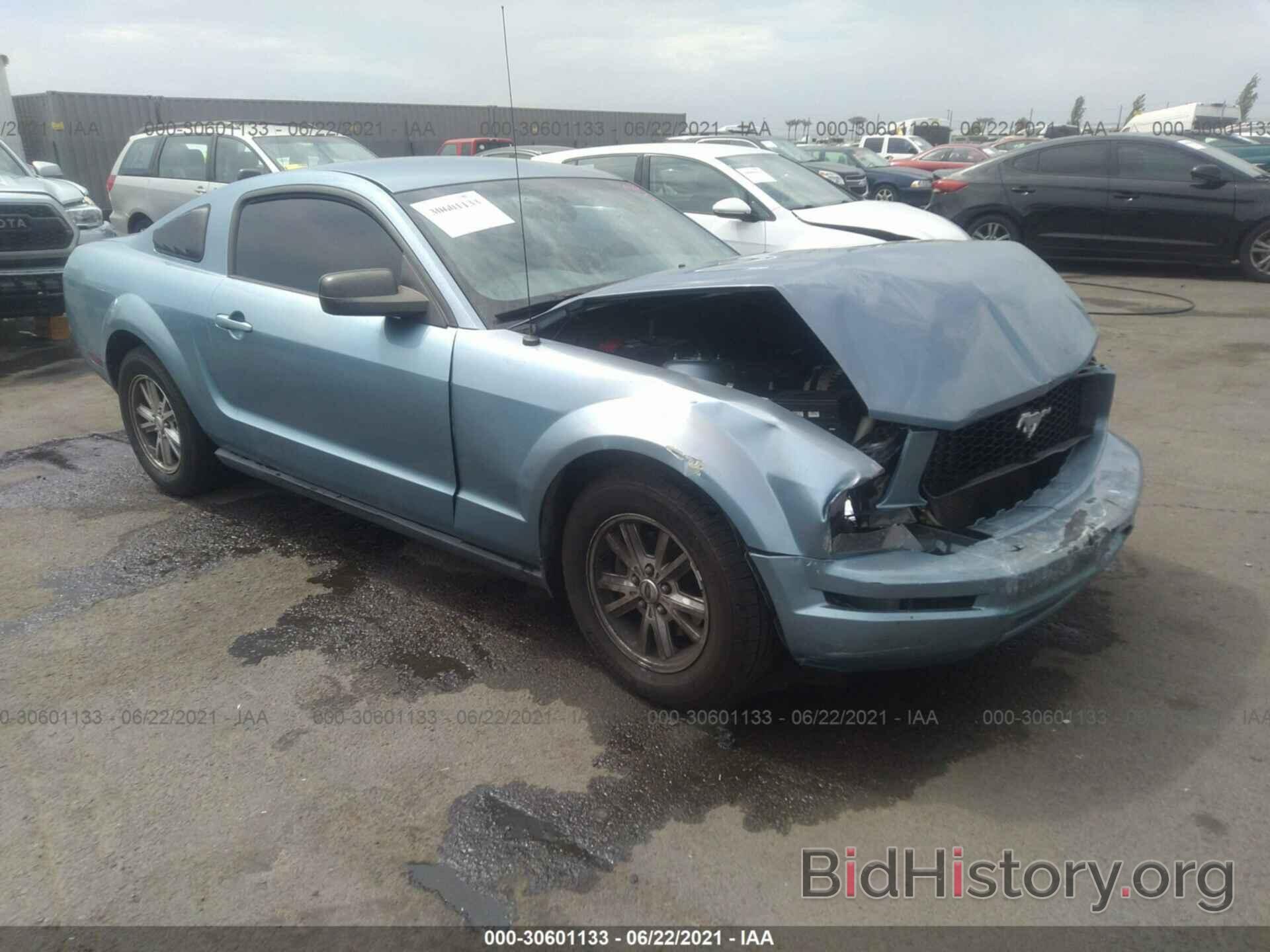 Photo 1ZVHT80N275239502 - FORD MUSTANG 2007
