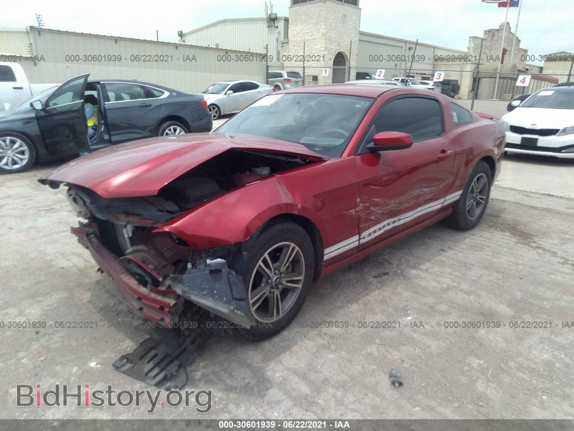 2013 FORD MUSTANG - VIN: 1ZVBP8AM6D5204182 - Фото 2