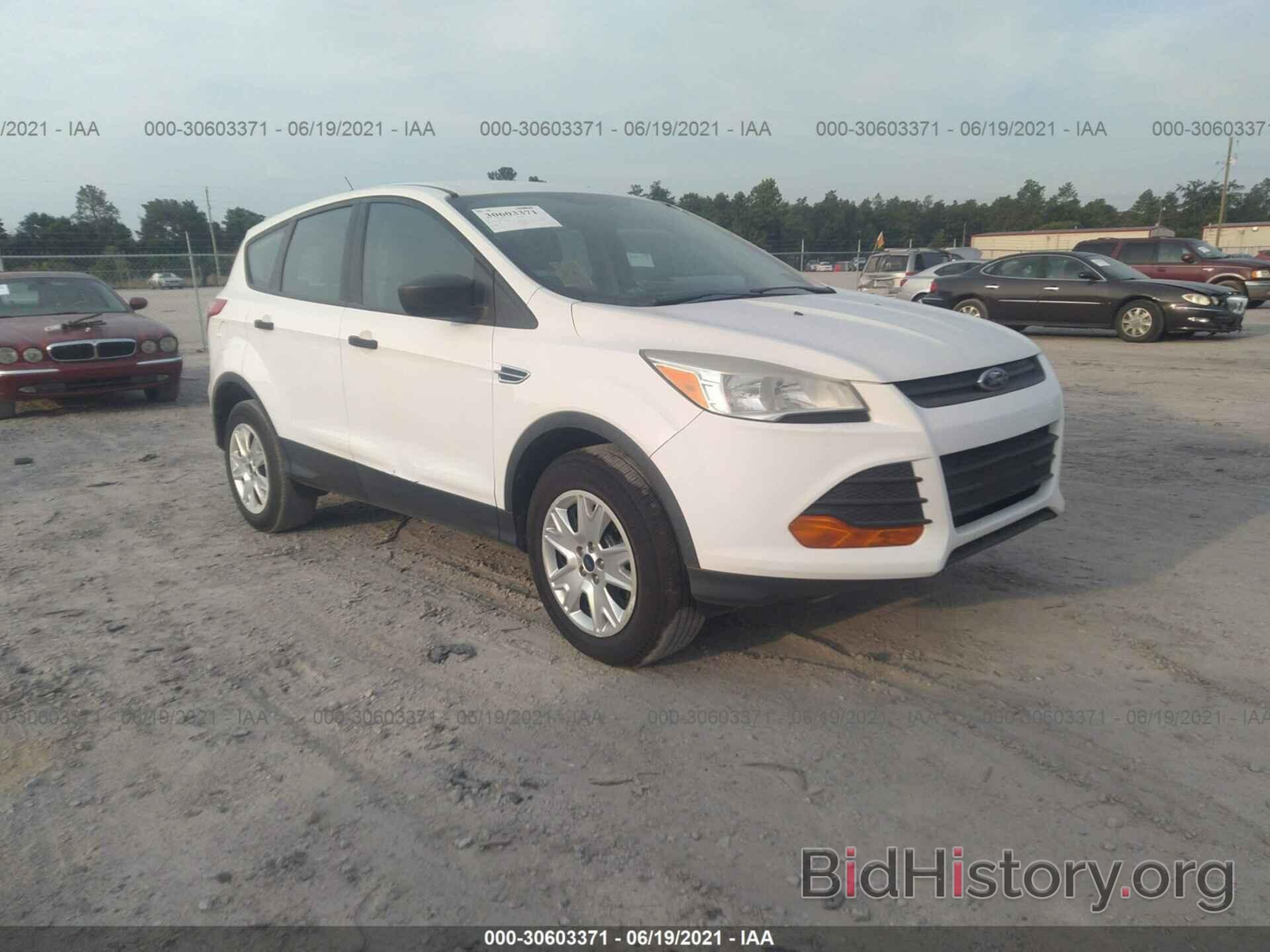 Photo 1FMCU0F78DUC95185 - FORD ESCAPE 2013