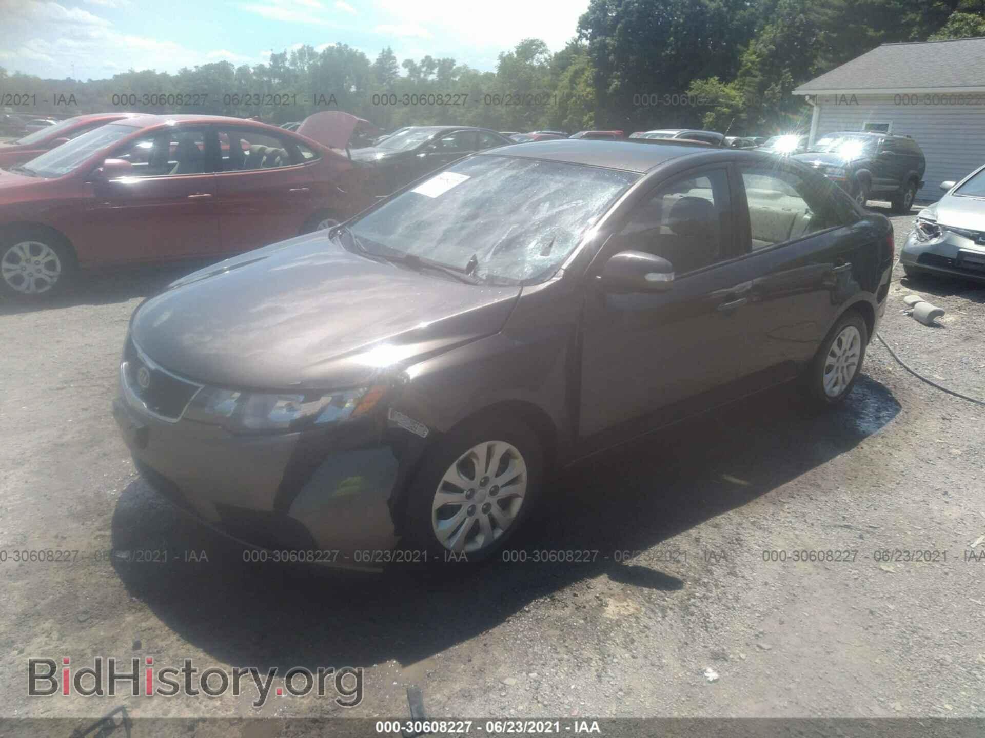 2010 KIA FORTE - VIN: KNAFU4A21A5125418 - Фото 2