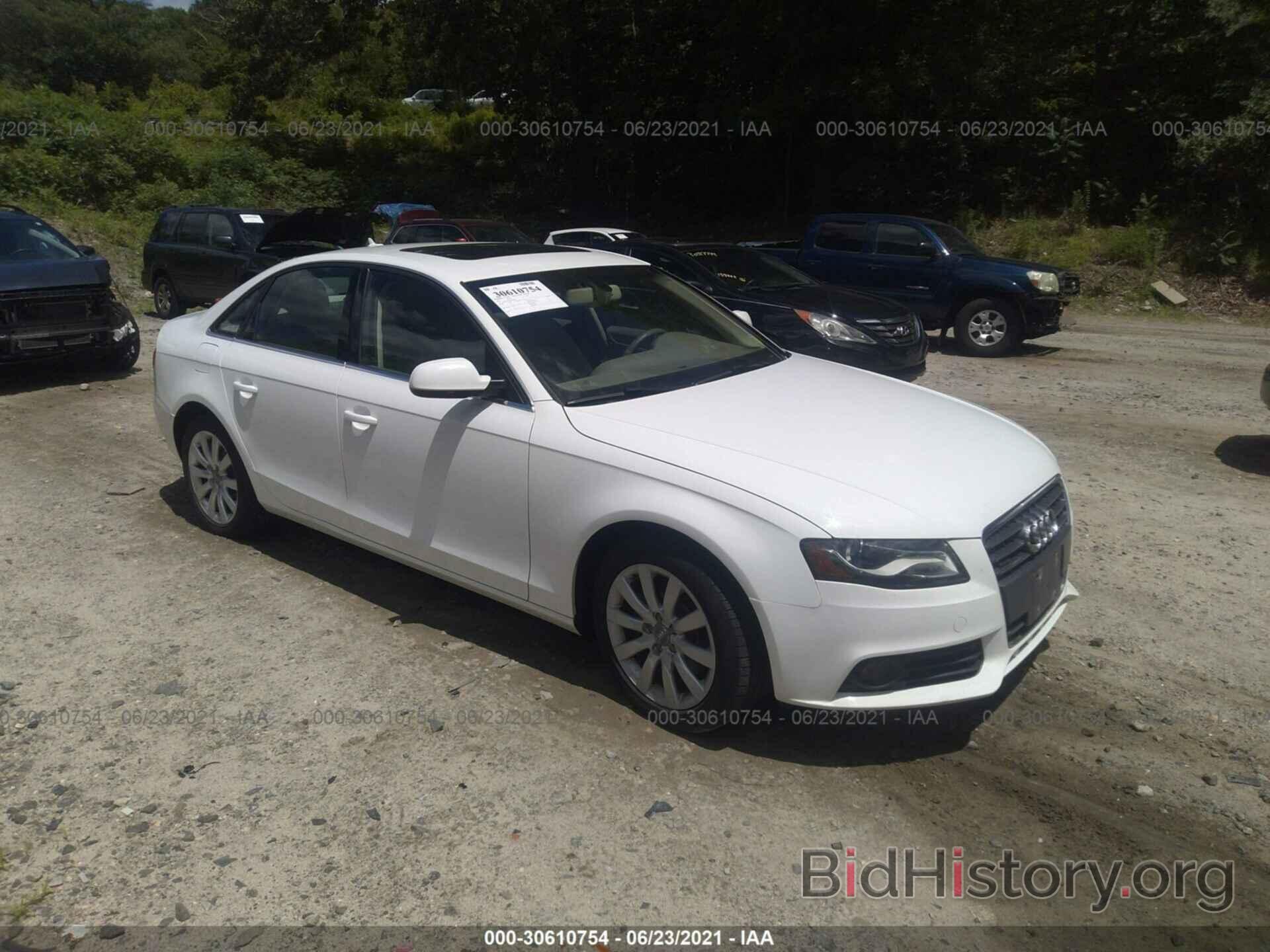 Photo WAUFFAFL5BN033420 - AUDI A4 2011