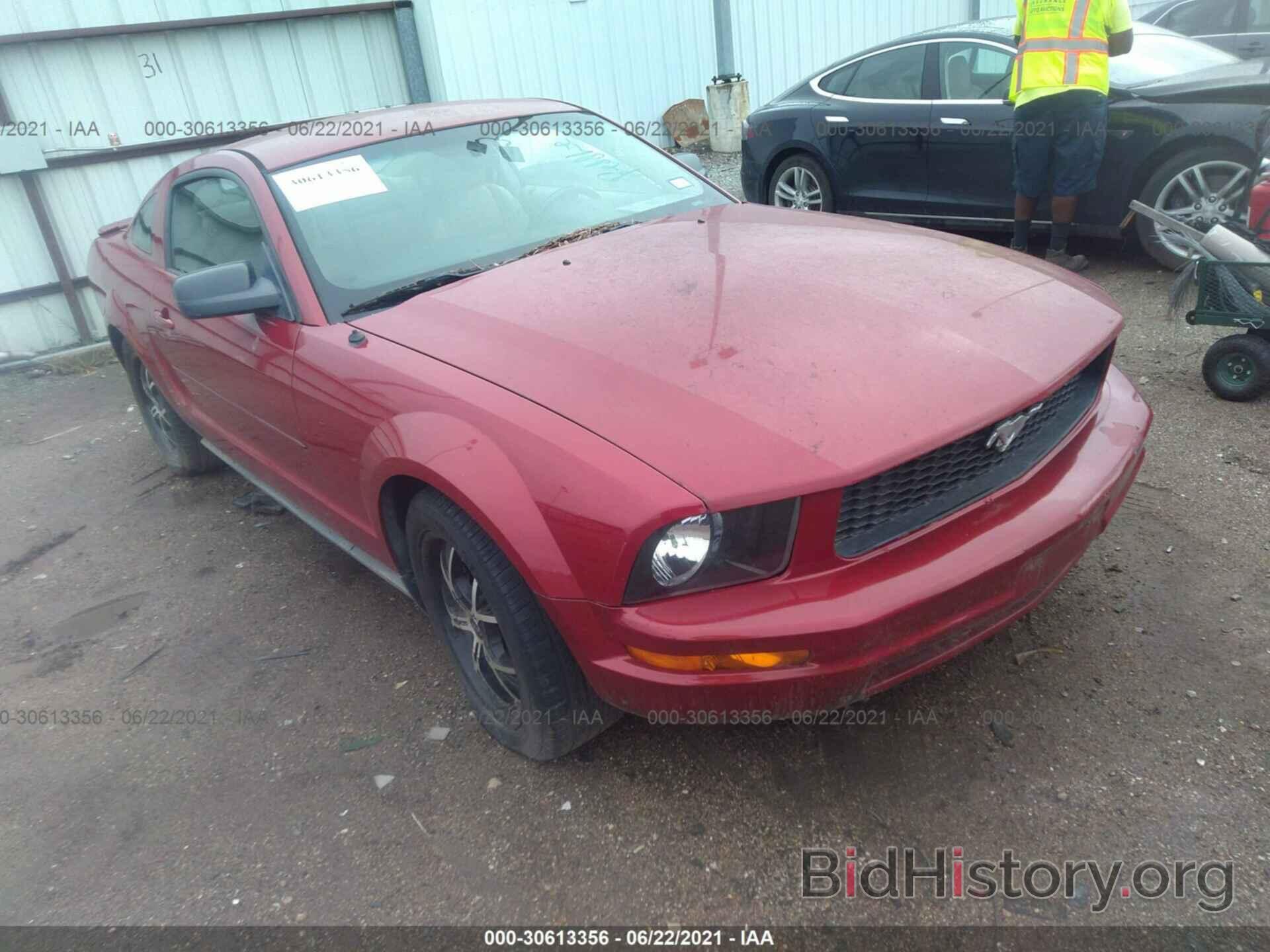 Photo 1ZVHT80N485191048 - FORD MUSTANG 2008