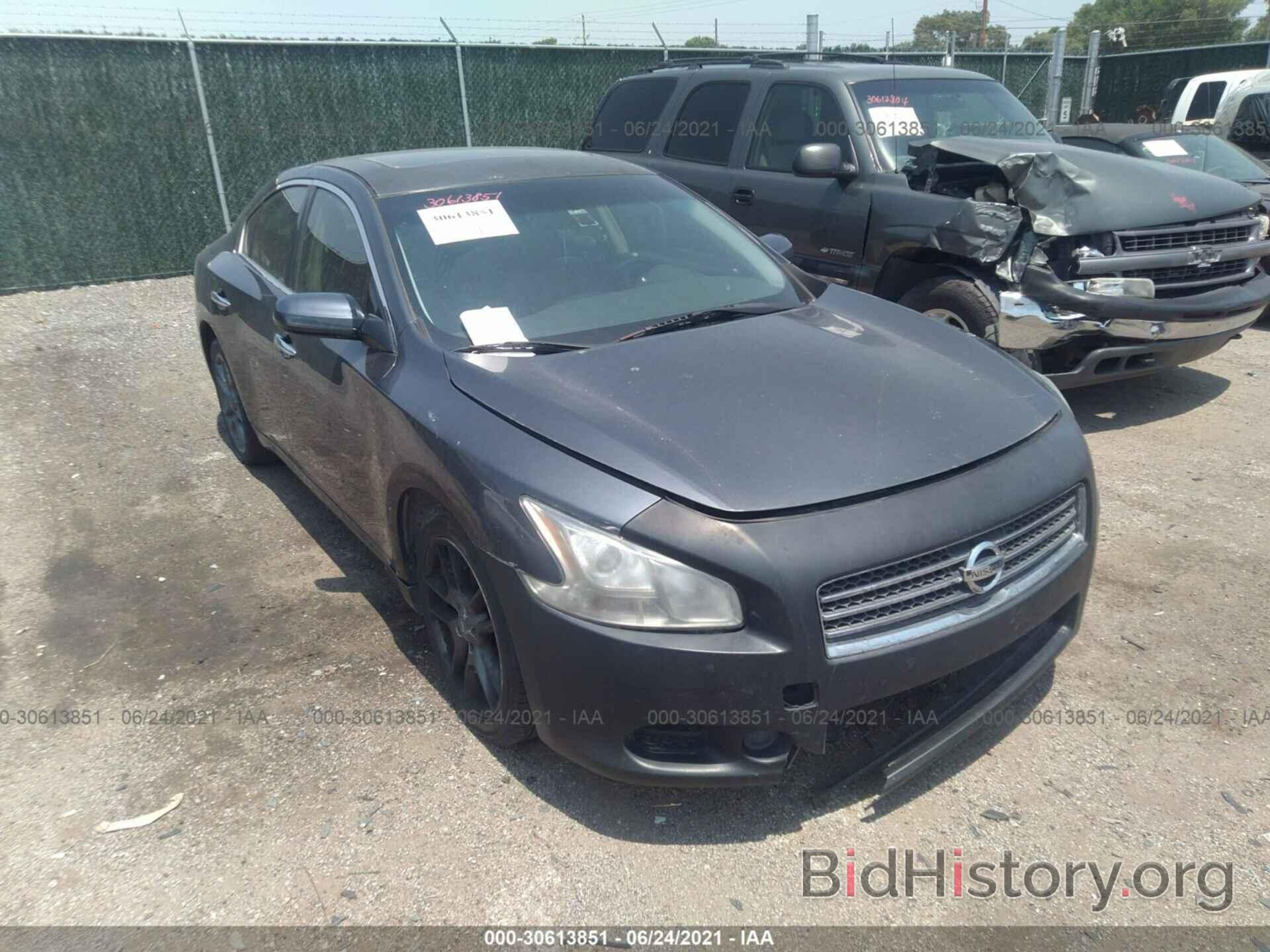 Photo 1N4AA51E49C838591 - NISSAN MAXIMA 2009