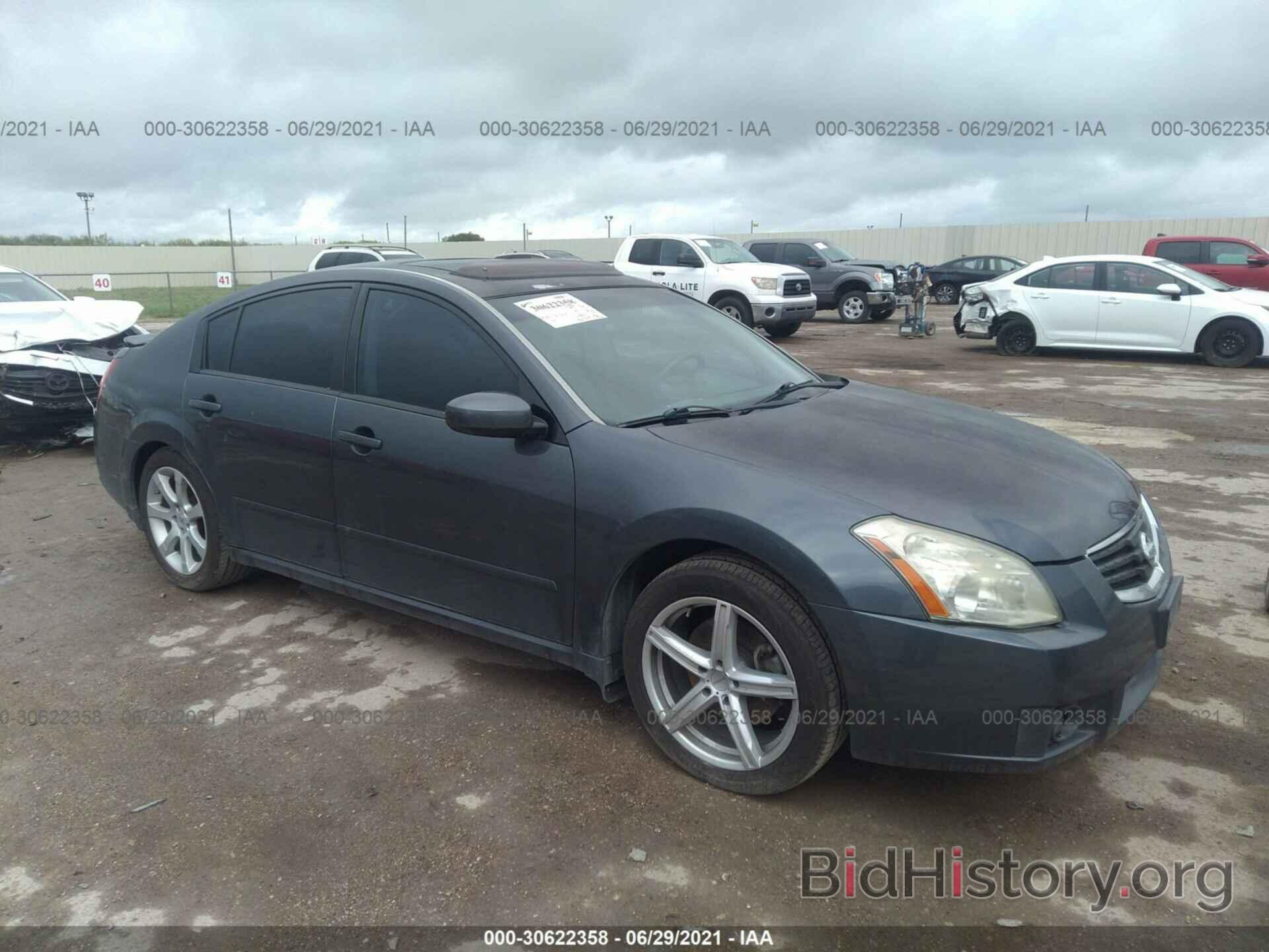 Photo 1N4BA41E18C815539 - NISSAN MAXIMA 2008