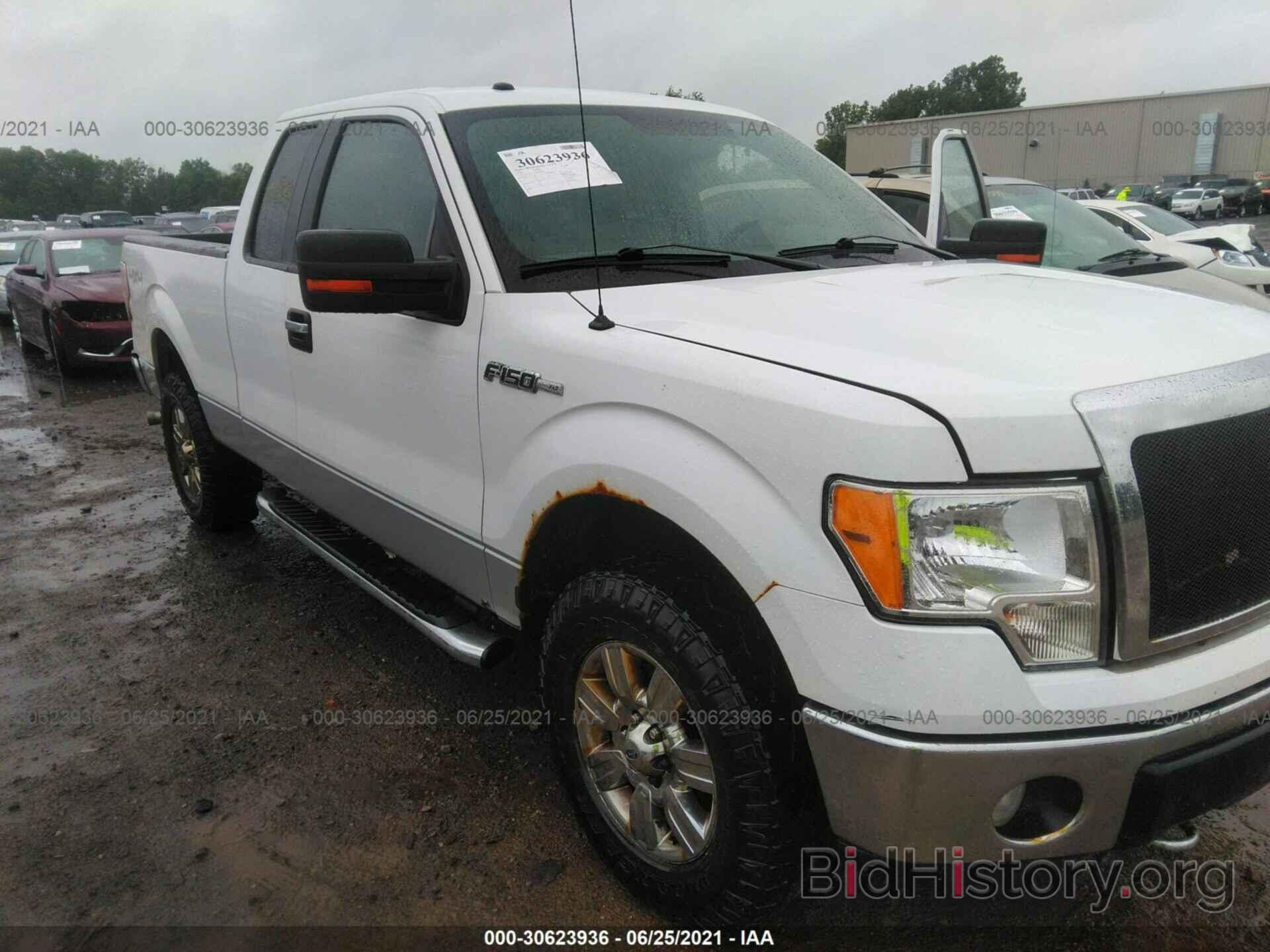 Photo 1FTFX1EV7AFD10841 - FORD F-150 2010