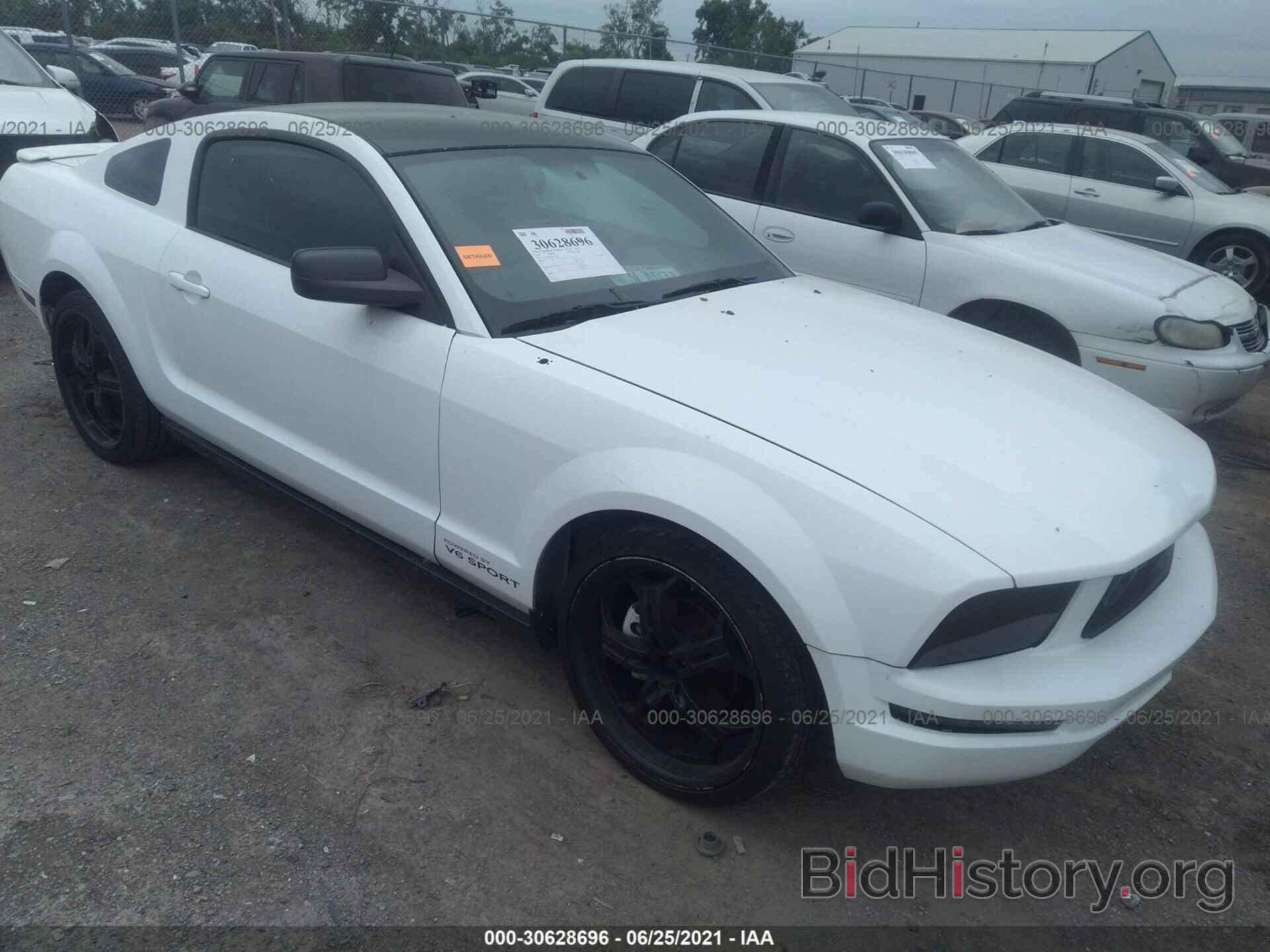 Photo 1ZVHT80N595141924 - FORD MUSTANG 2009