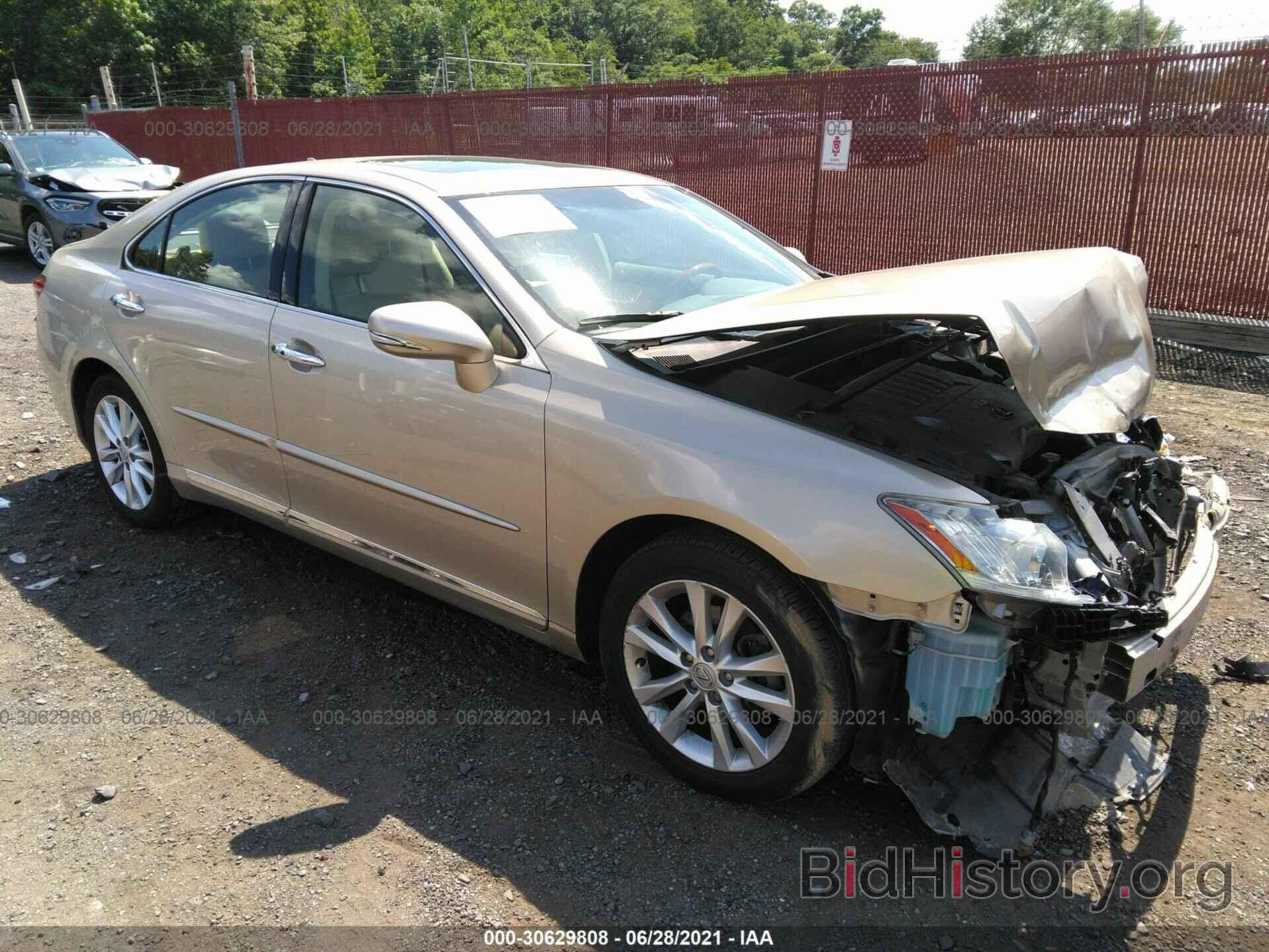 Photo JTHBK1EG7B2462527 - LEXUS ES 350 2011