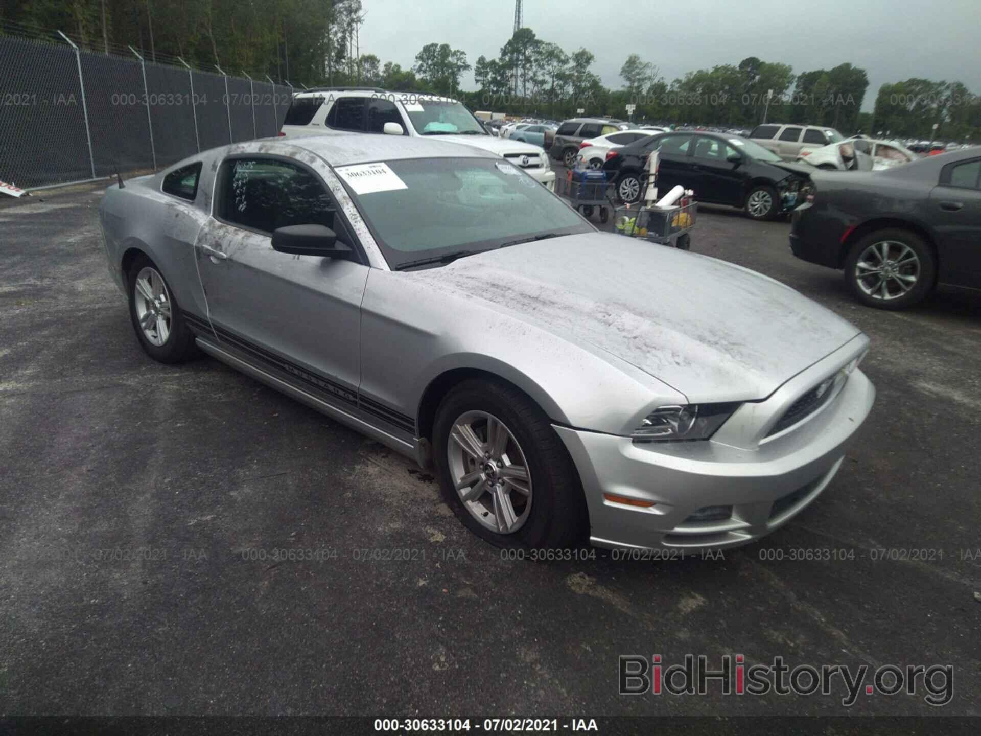 Photo 1ZVBP8AM5E5300063 - FORD MUSTANG 2014