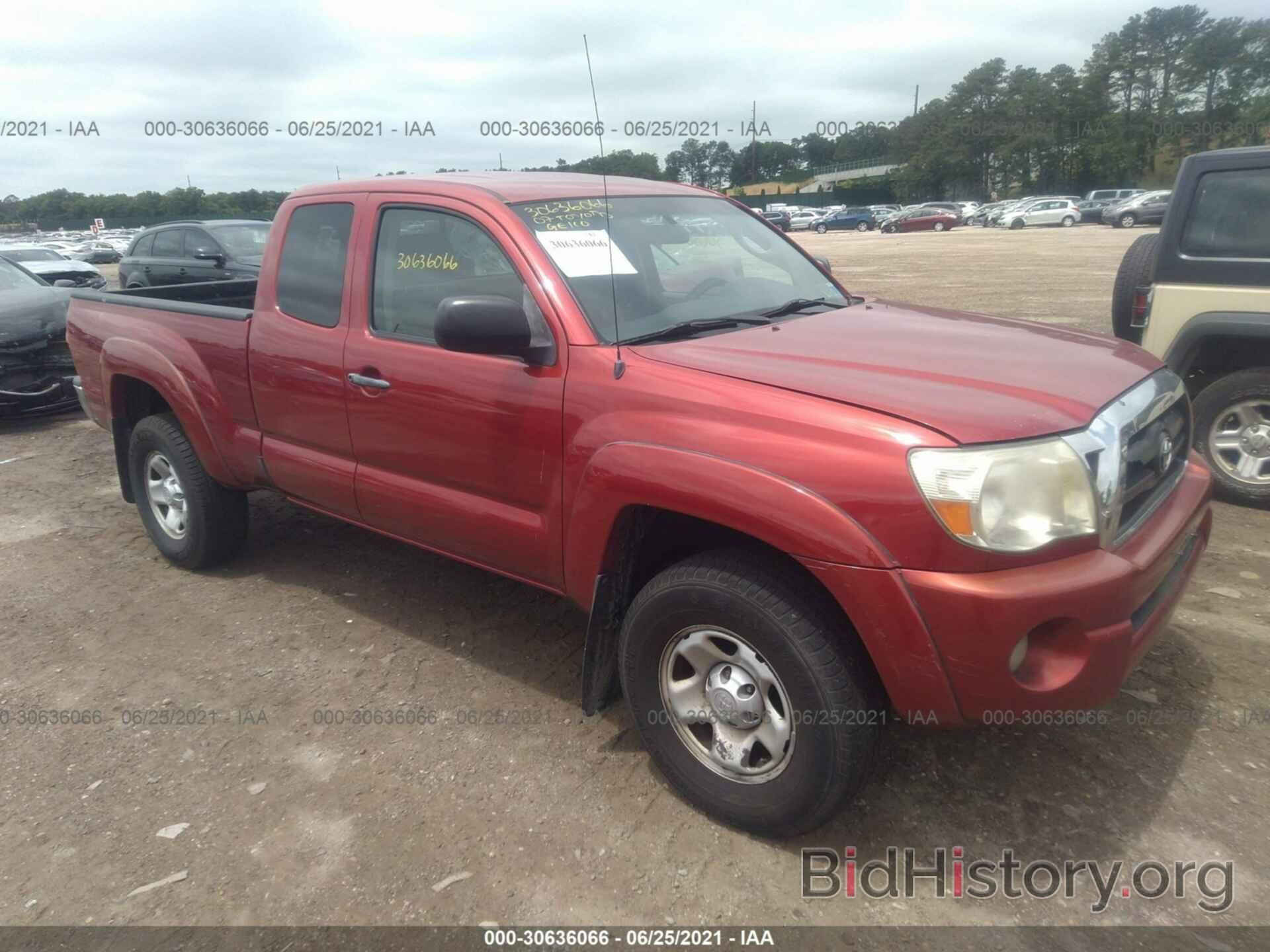 Photo 5TEUU42N87Z464153 - TOYOTA TACOMA 2007