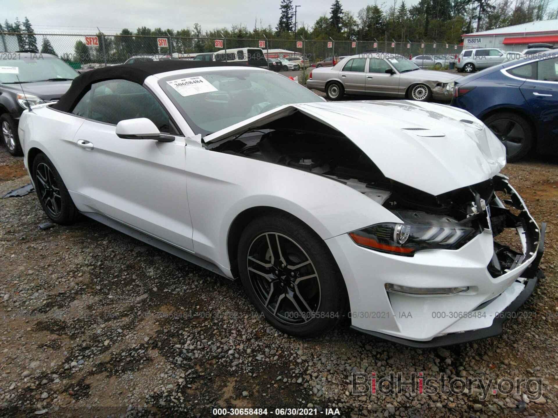 Photo 1FATP8UH7K5148620 - FORD MUSTANG 2019