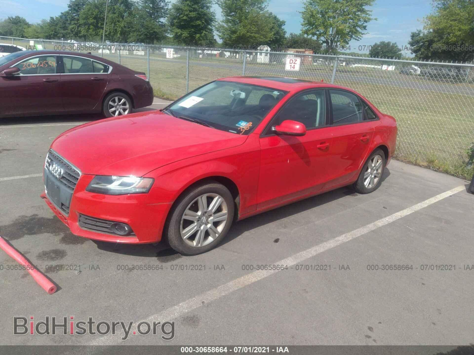 2010 AUDI A4 - VIN: WAUBFAFL1AN006342 - Фото 2