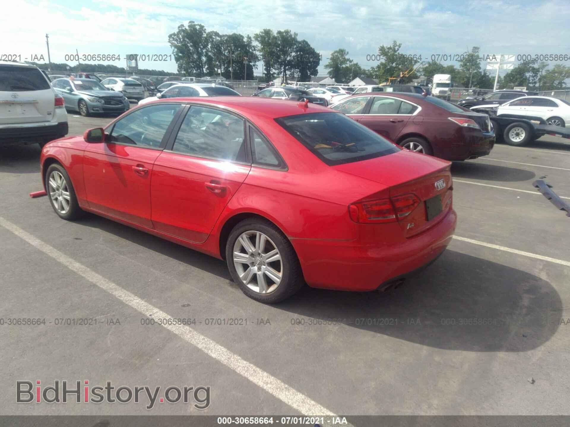 2010 AUDI A4 - VIN: WAUBFAFL1AN006342 - Фото 3