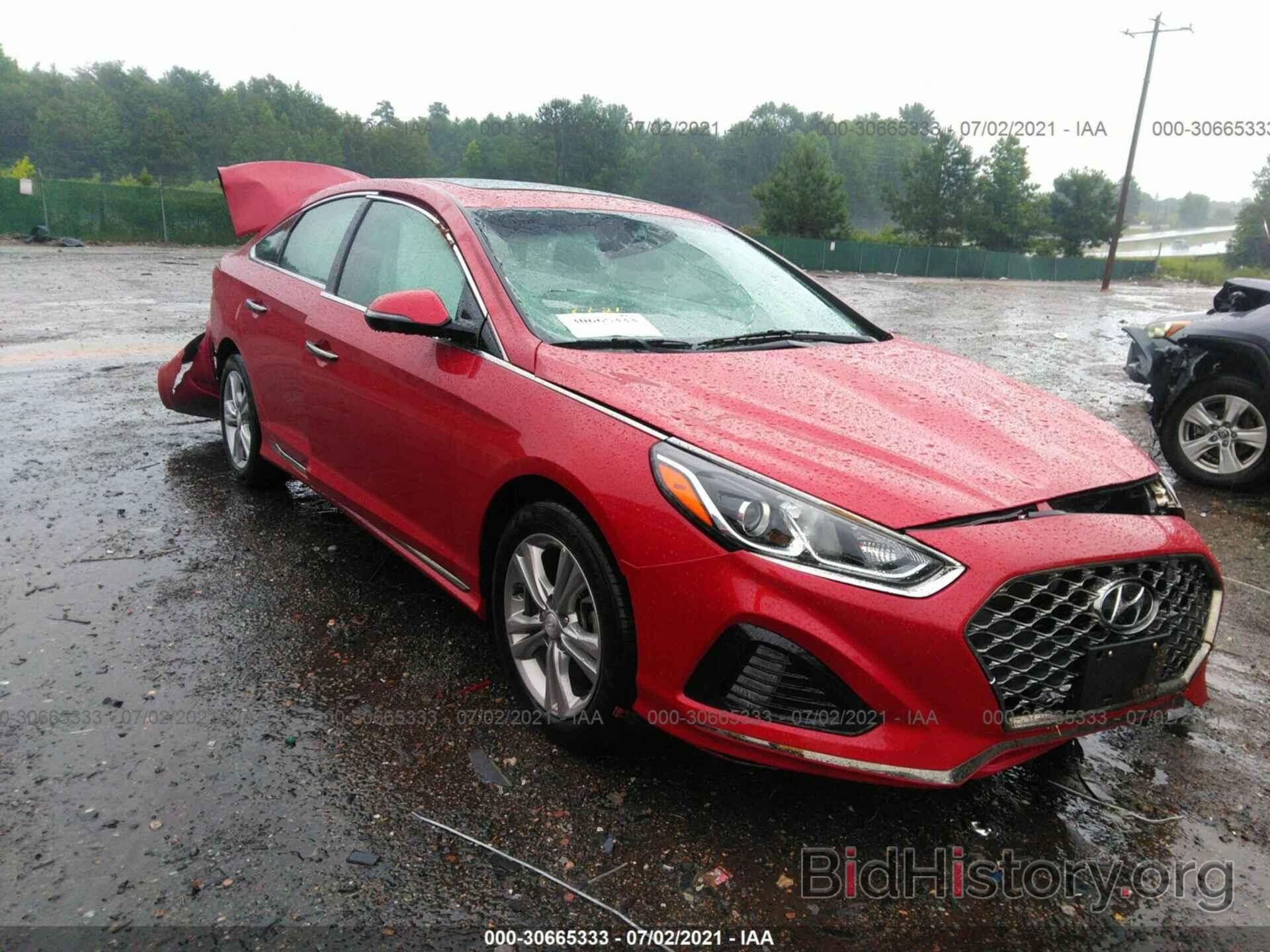 Photo 5NPE34AF4JH613878 - HYUNDAI SONATA 2018