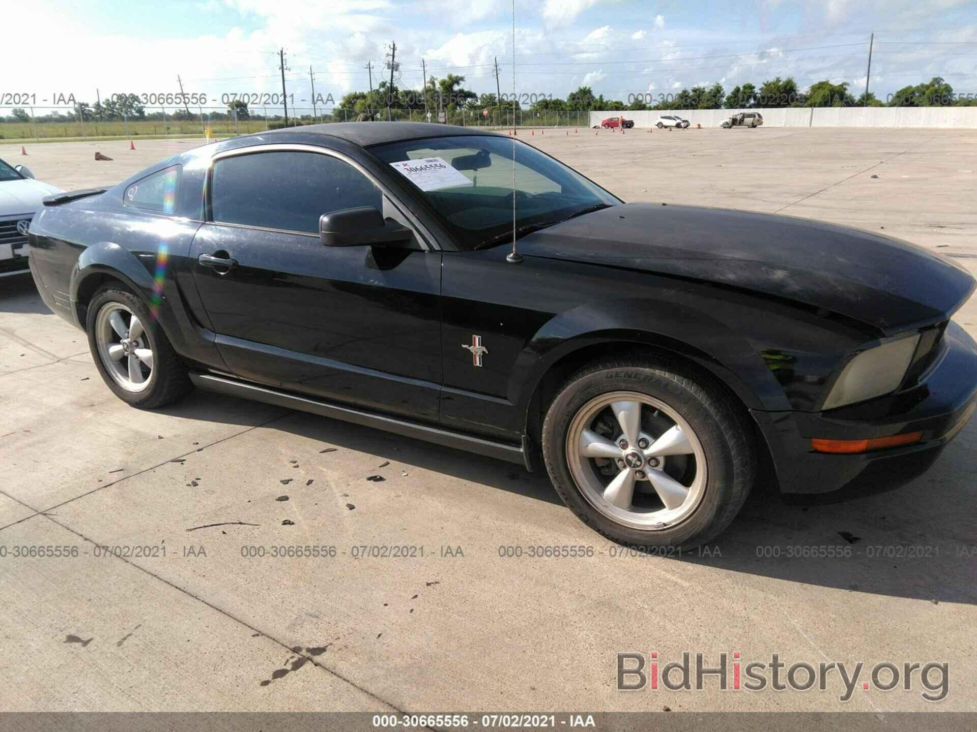 Photo 1ZVFT80NX75258631 - FORD MUSTANG 2007