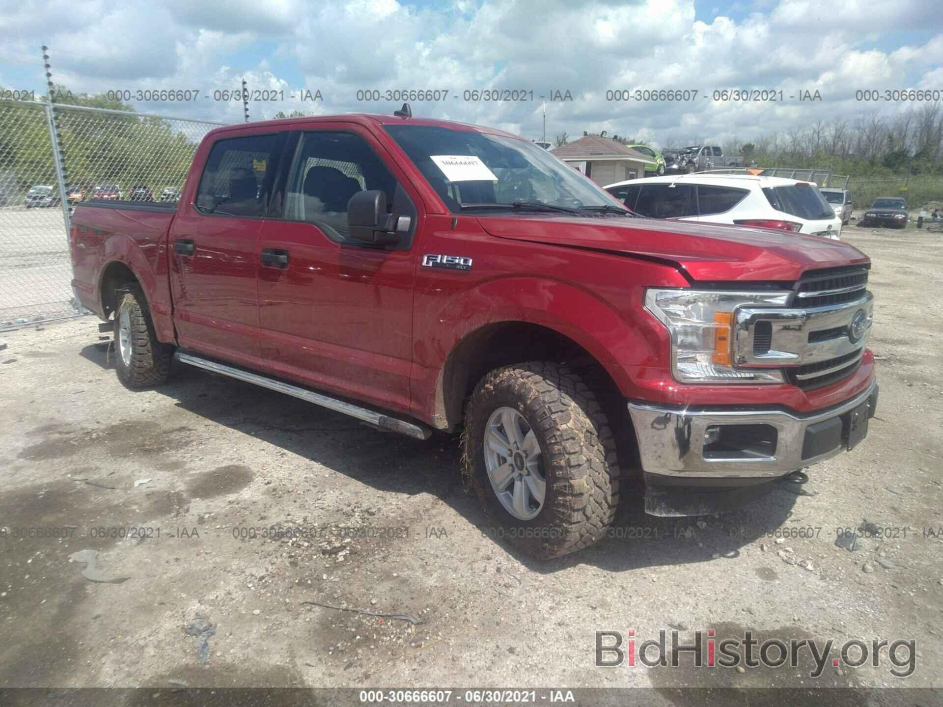 Photo 1FTEW1E45LFB80860 - FORD F-150 2020