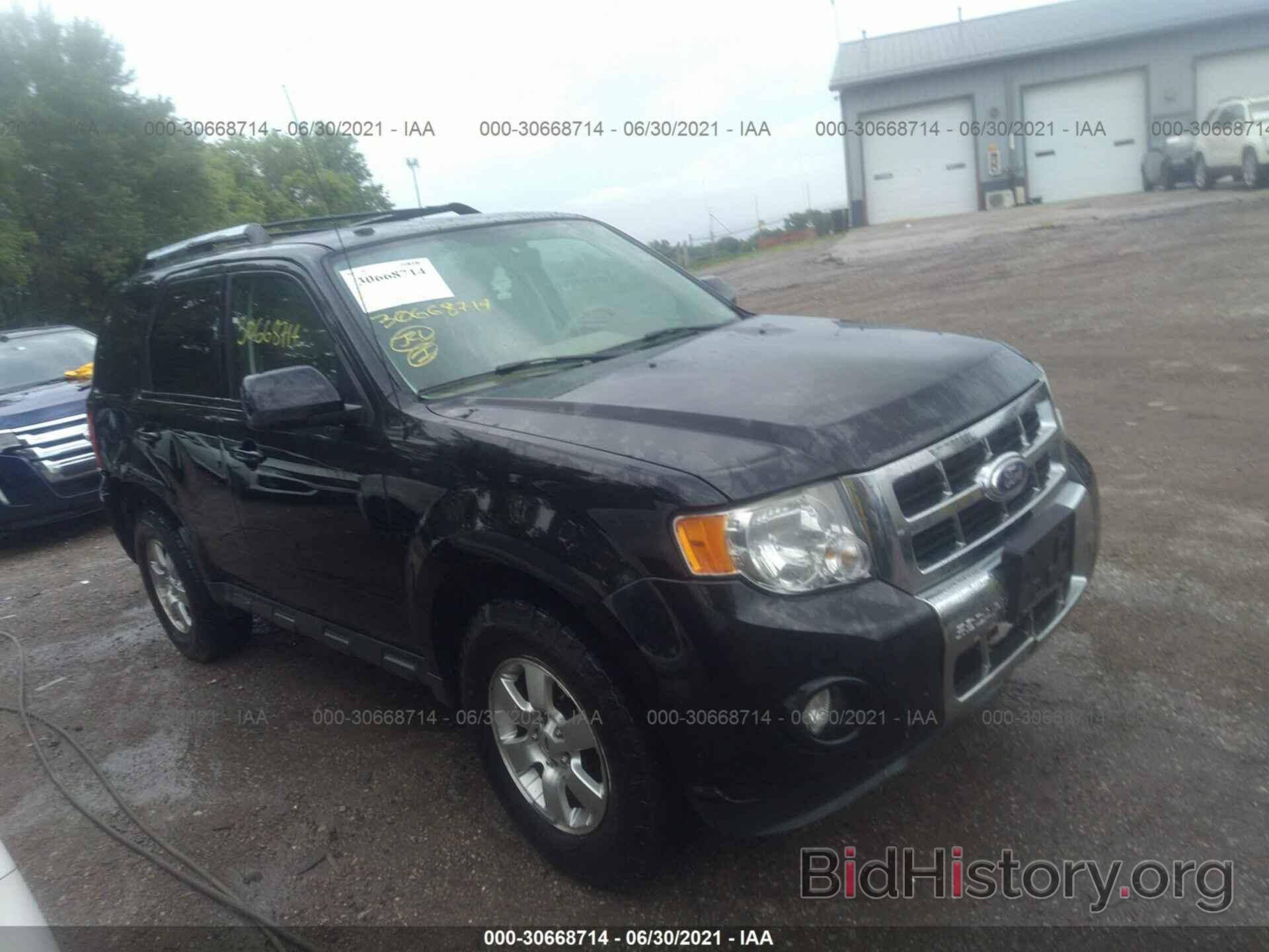 Photo 1FMCU0E70BKA44879 - FORD ESCAPE 2011