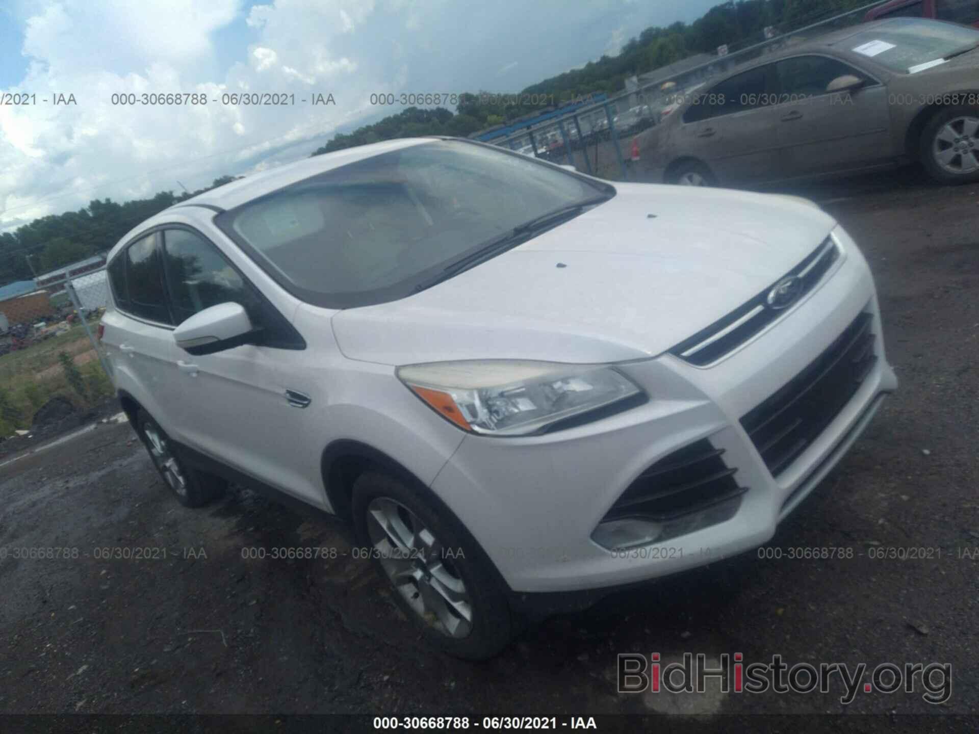 Photo 1FMCU0HX4DUA08910 - FORD ESCAPE 2013