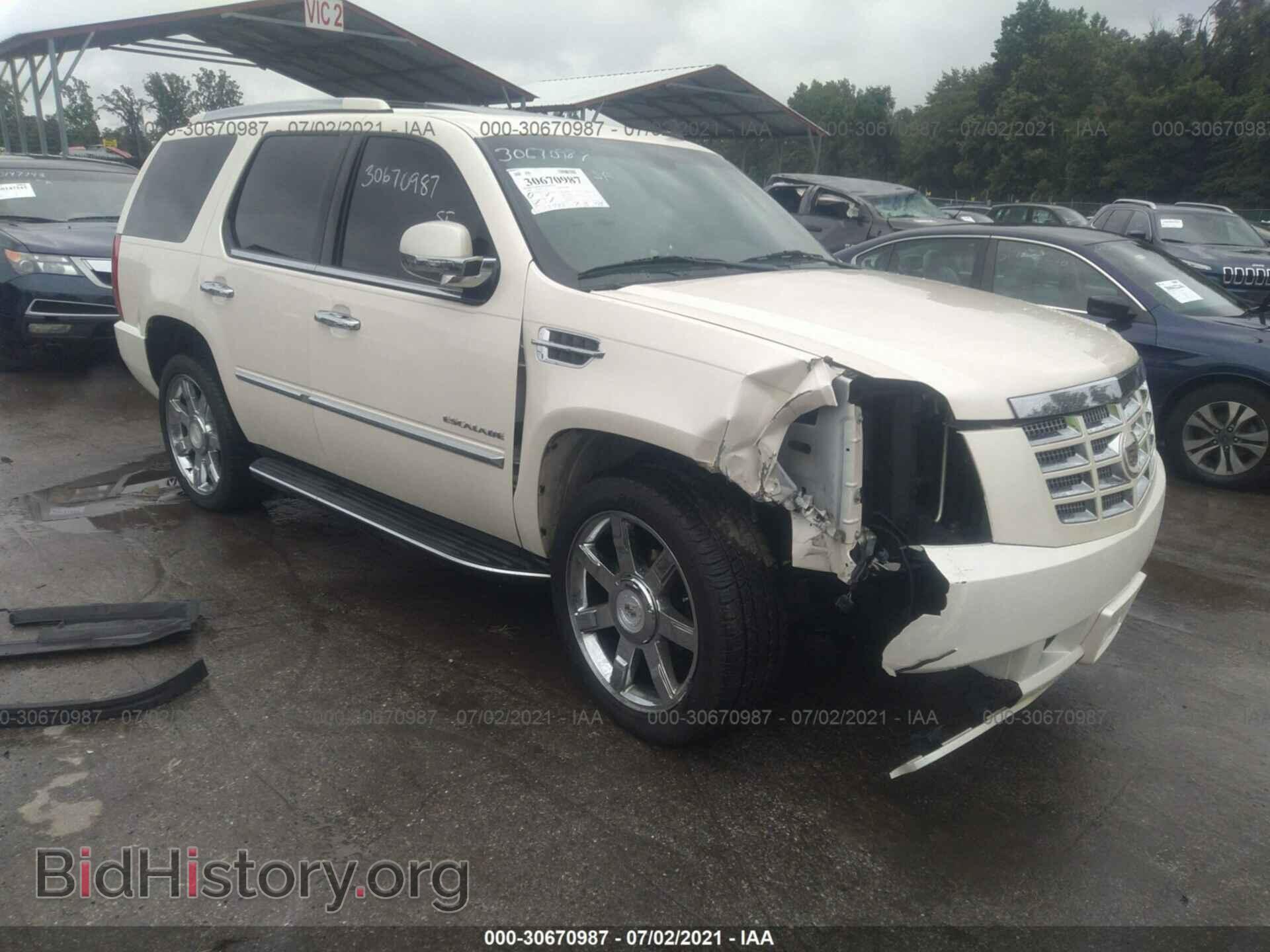 Фотография 1GYUKBEF8AR101377 - CADILLAC ESCALADE 2010