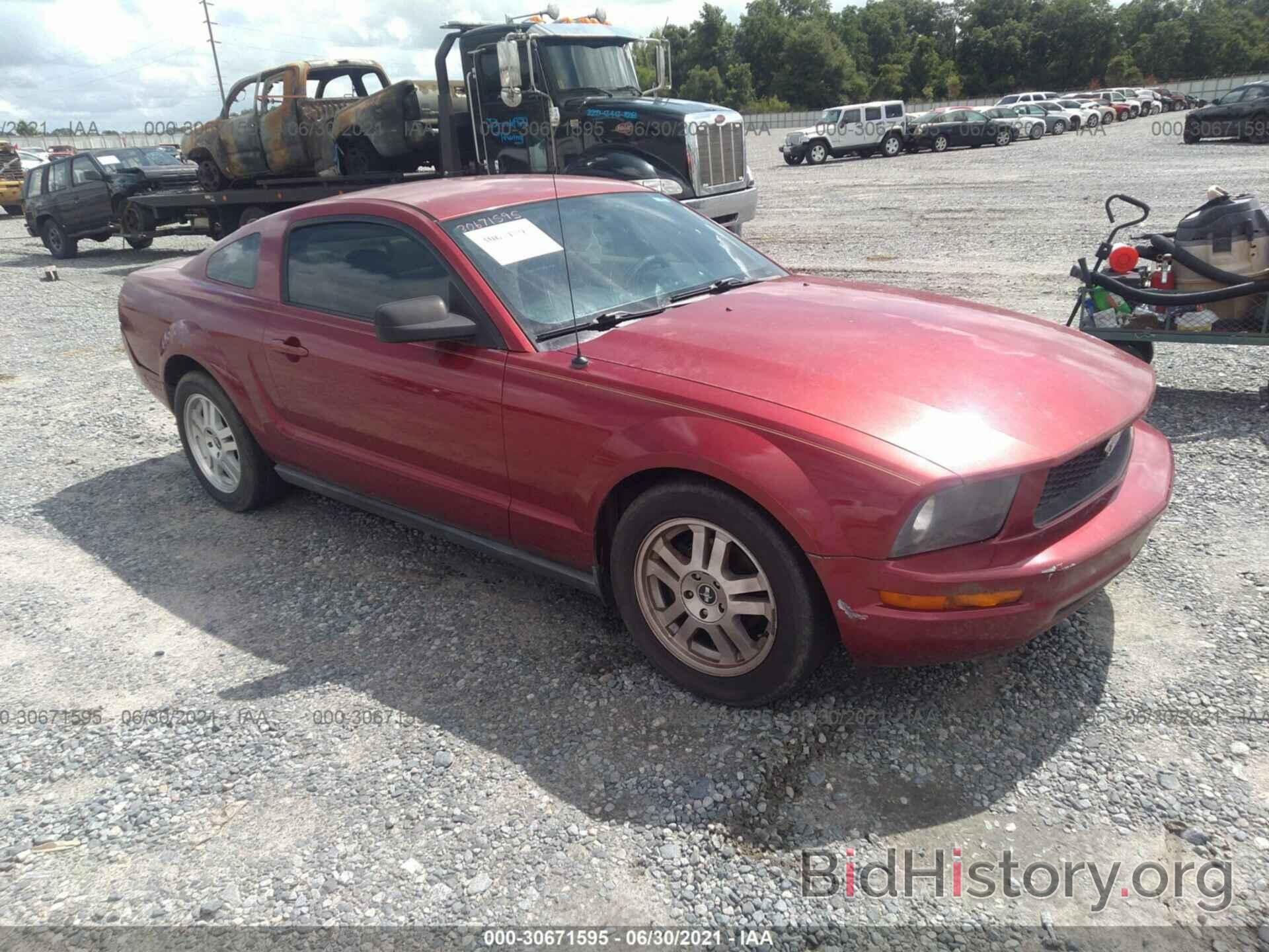 Photo 1ZVFT80NX75289619 - FORD MUSTANG 2007